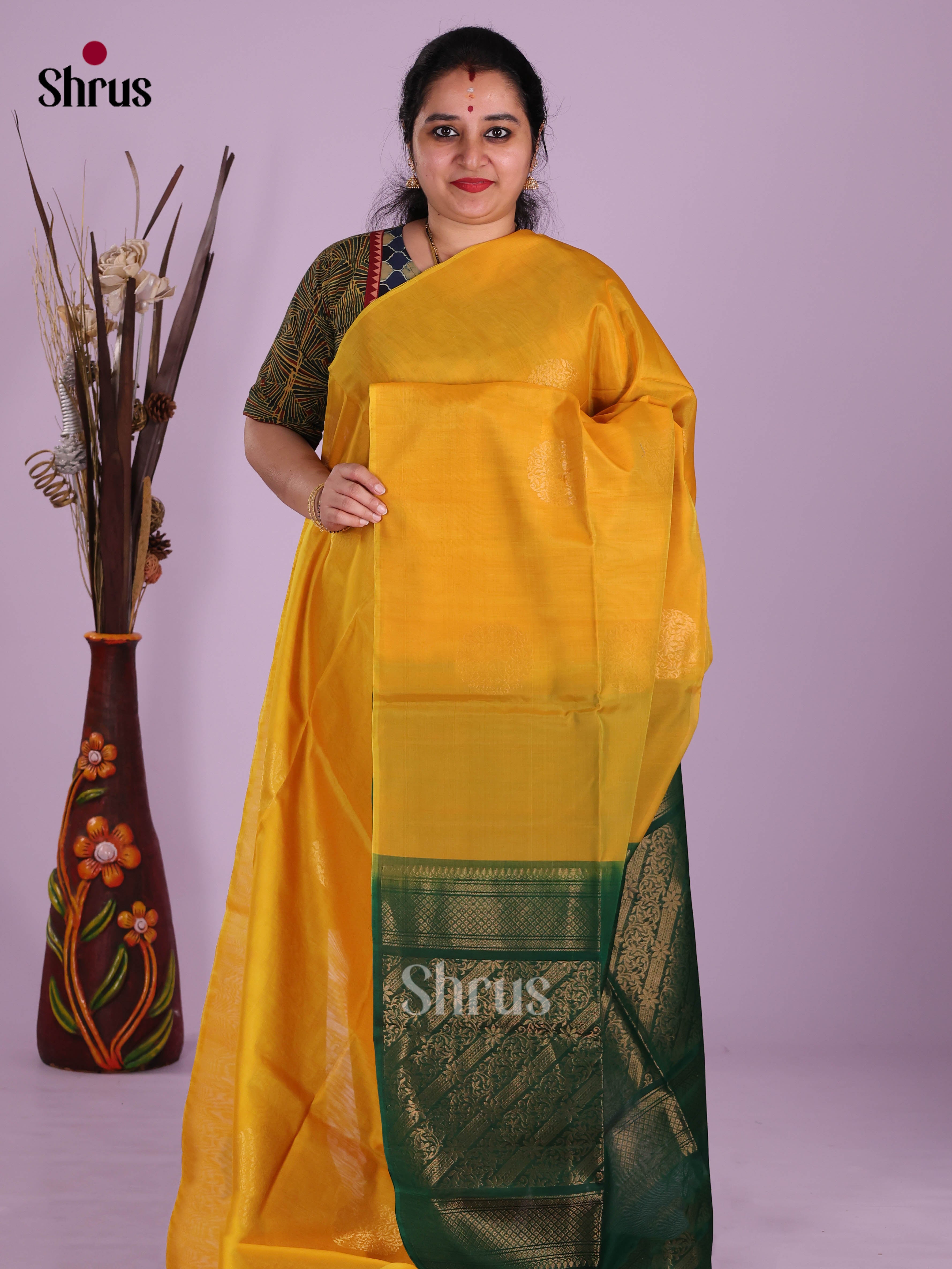 DKS10176 - Timeless Silk Cotton Saree - Shop on Shrus.com