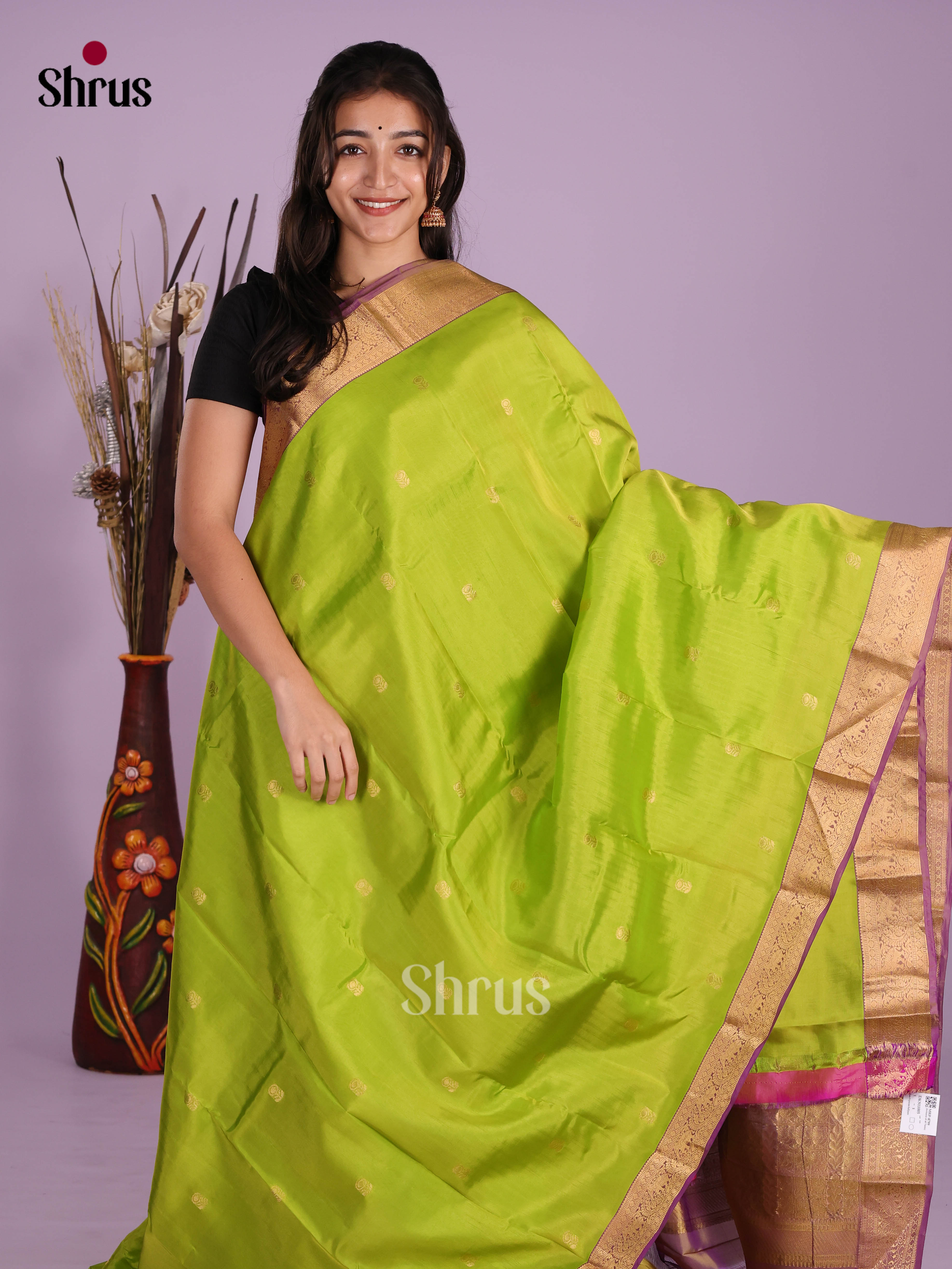 DKS11005 - Kanchipuram-halfpure Saree