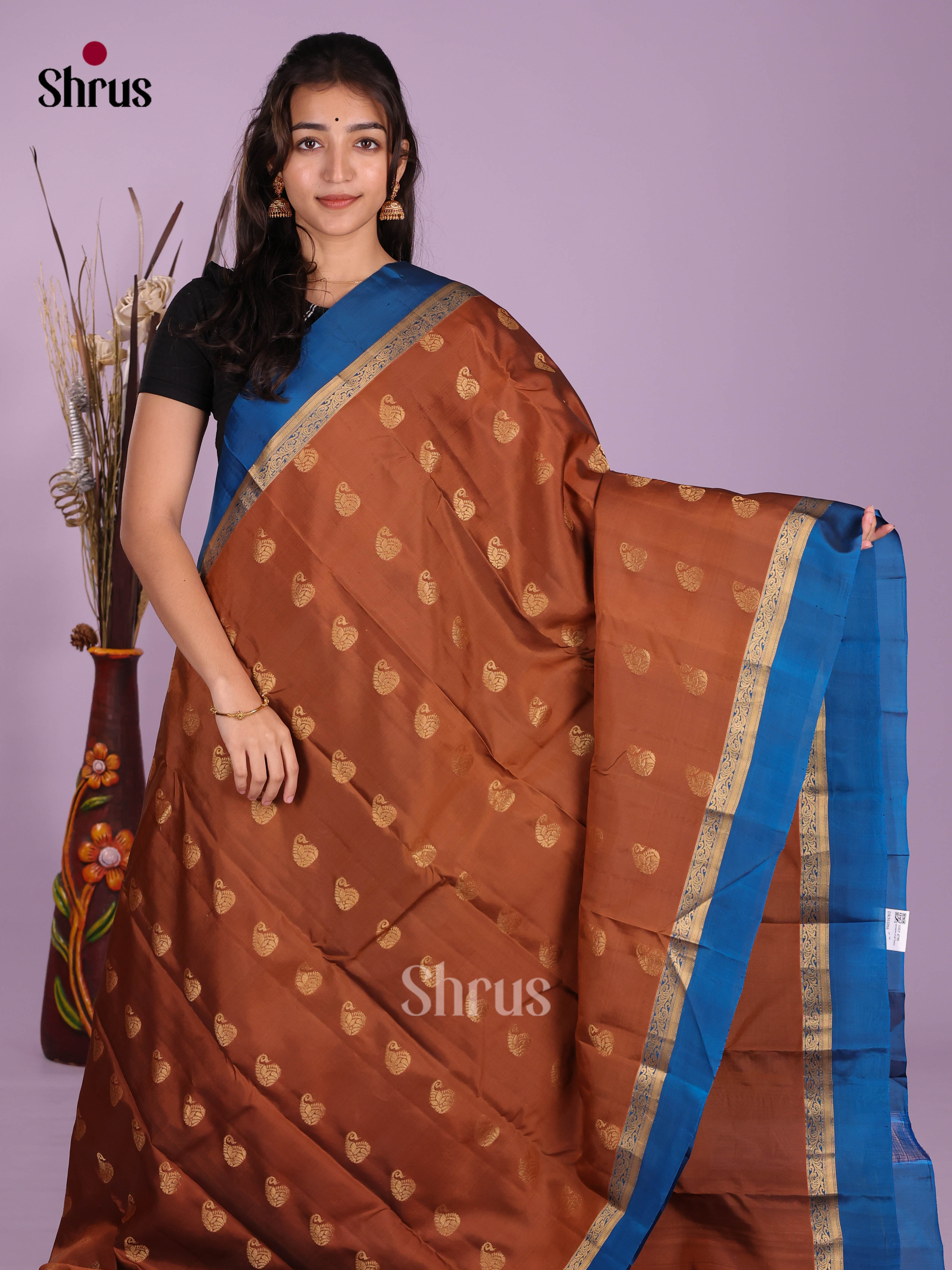 Brown & Blue - Kanchipuram-halfpure Saree