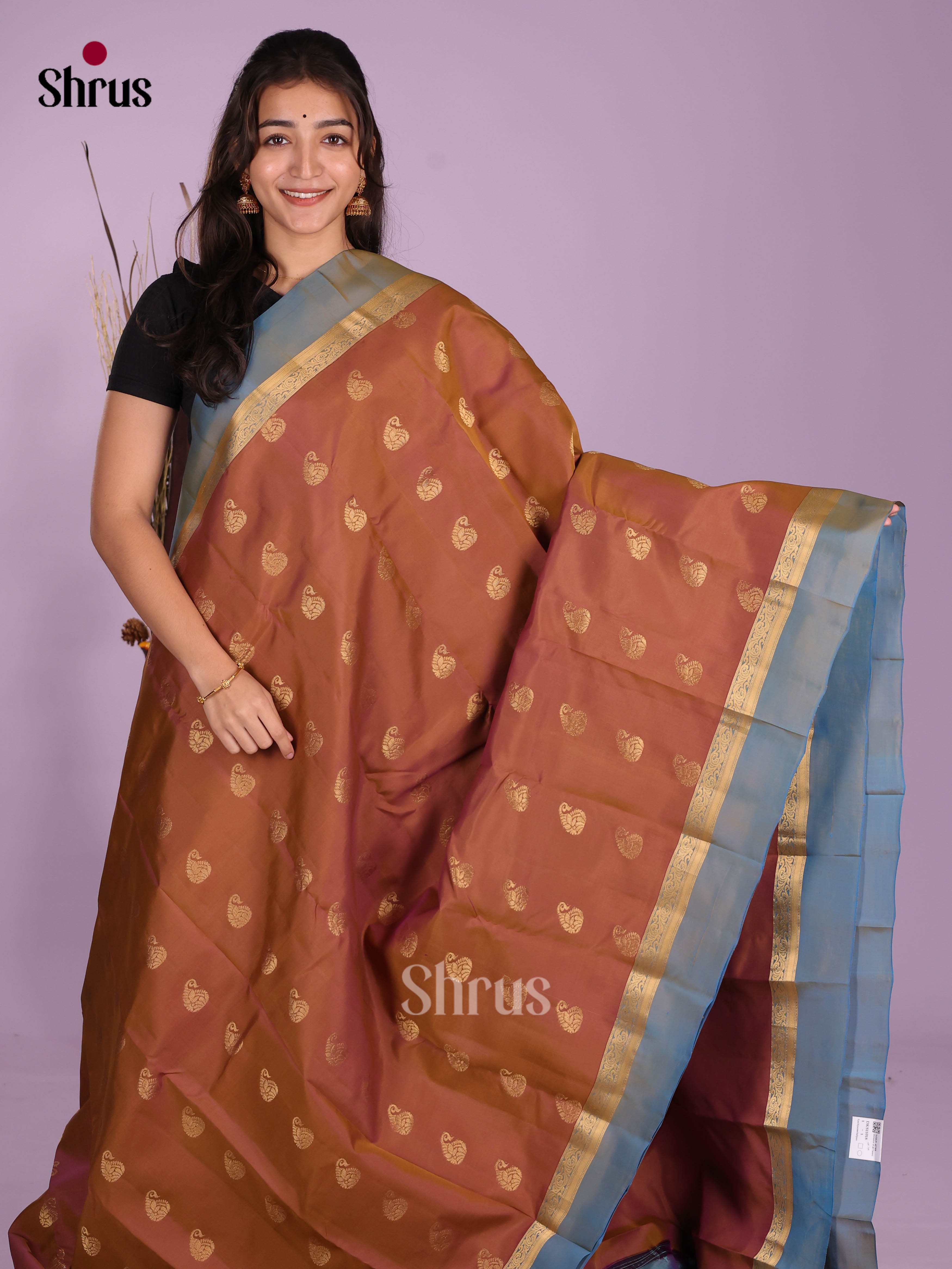 Brown & Blue - Kanchipuram-halfpure Saree