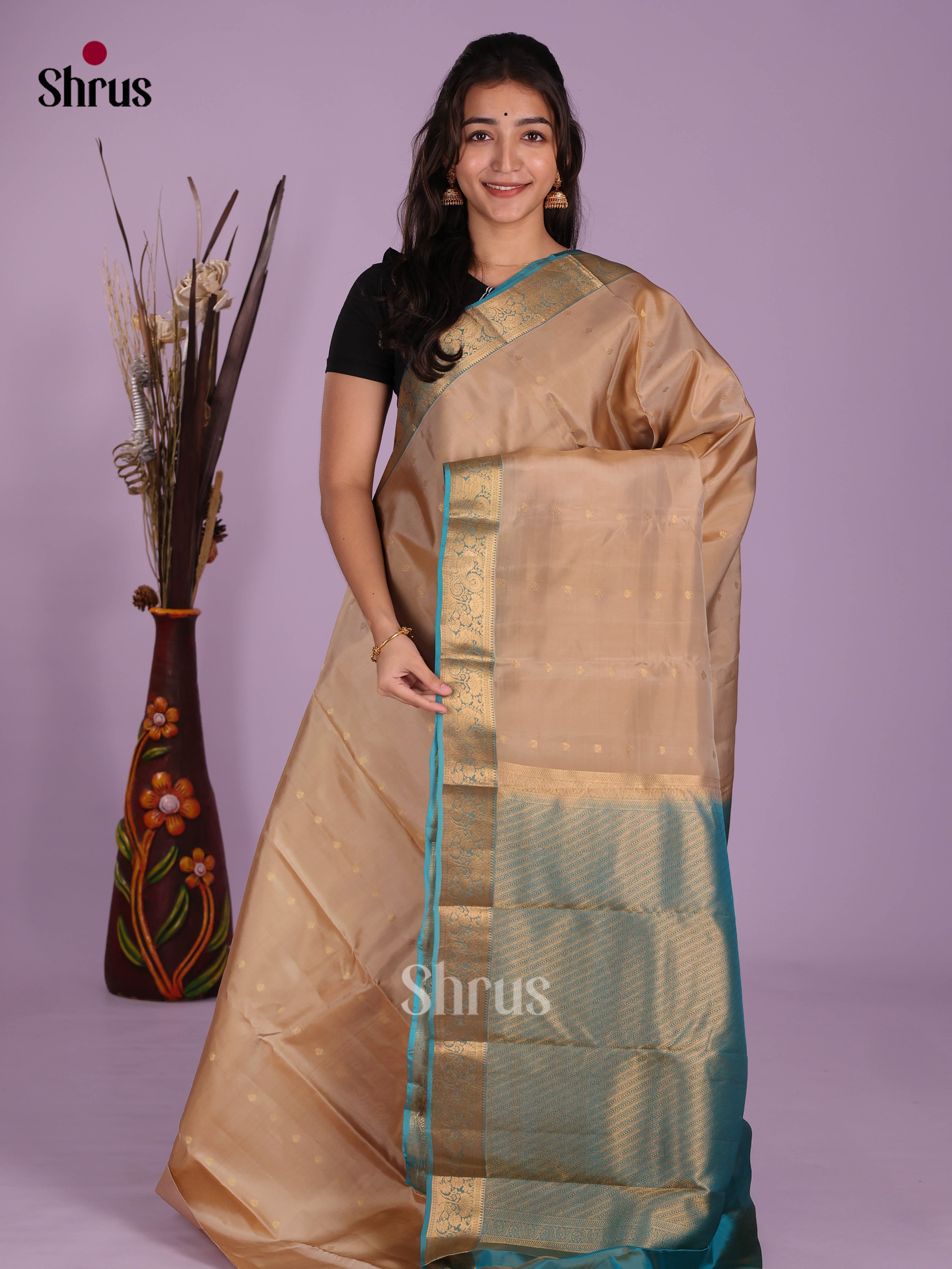 Beige & Blue - Kanchipuram-halfpure Saree