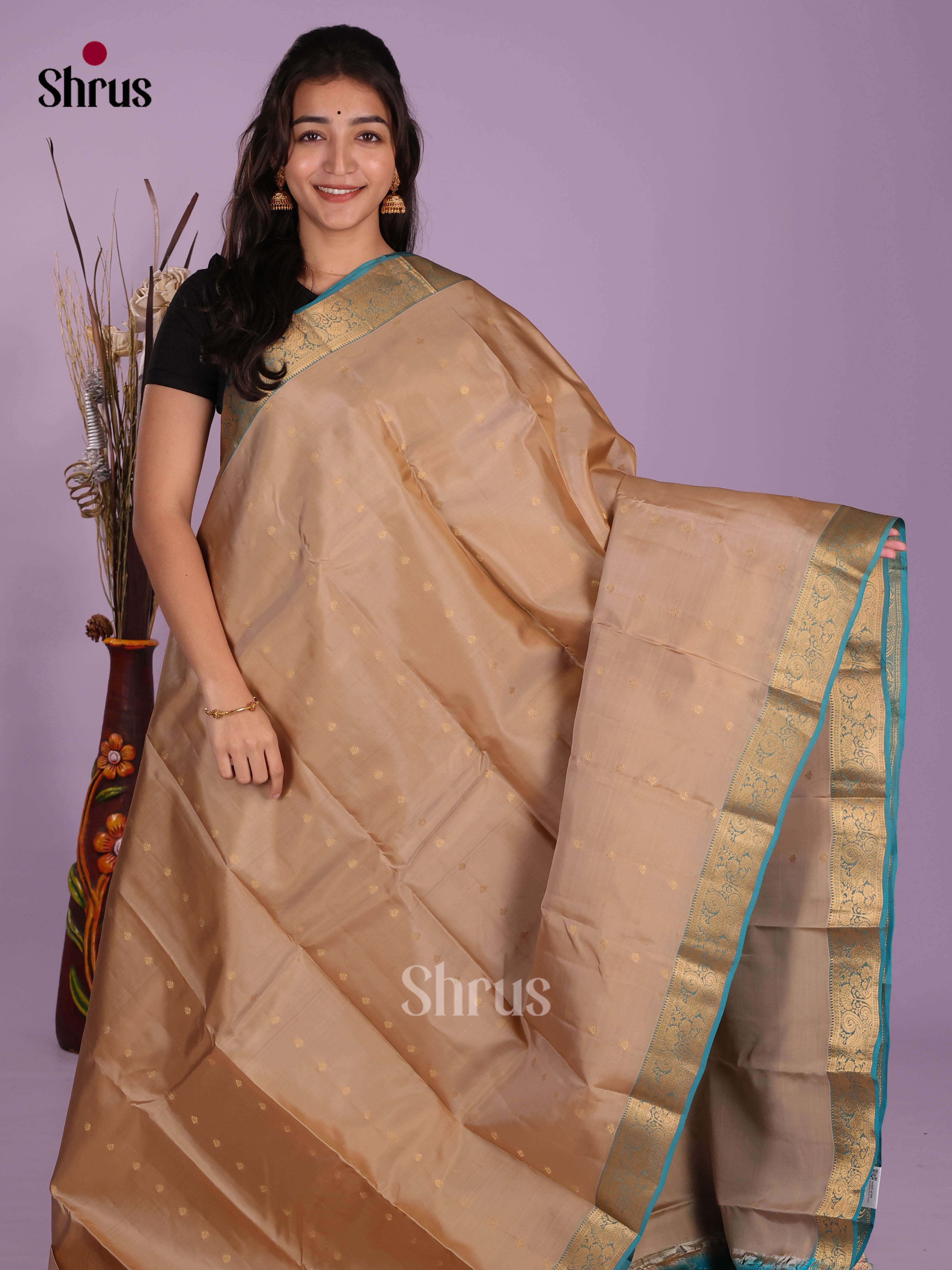 Beige & Blue - Kanchipuram-halfpure Saree