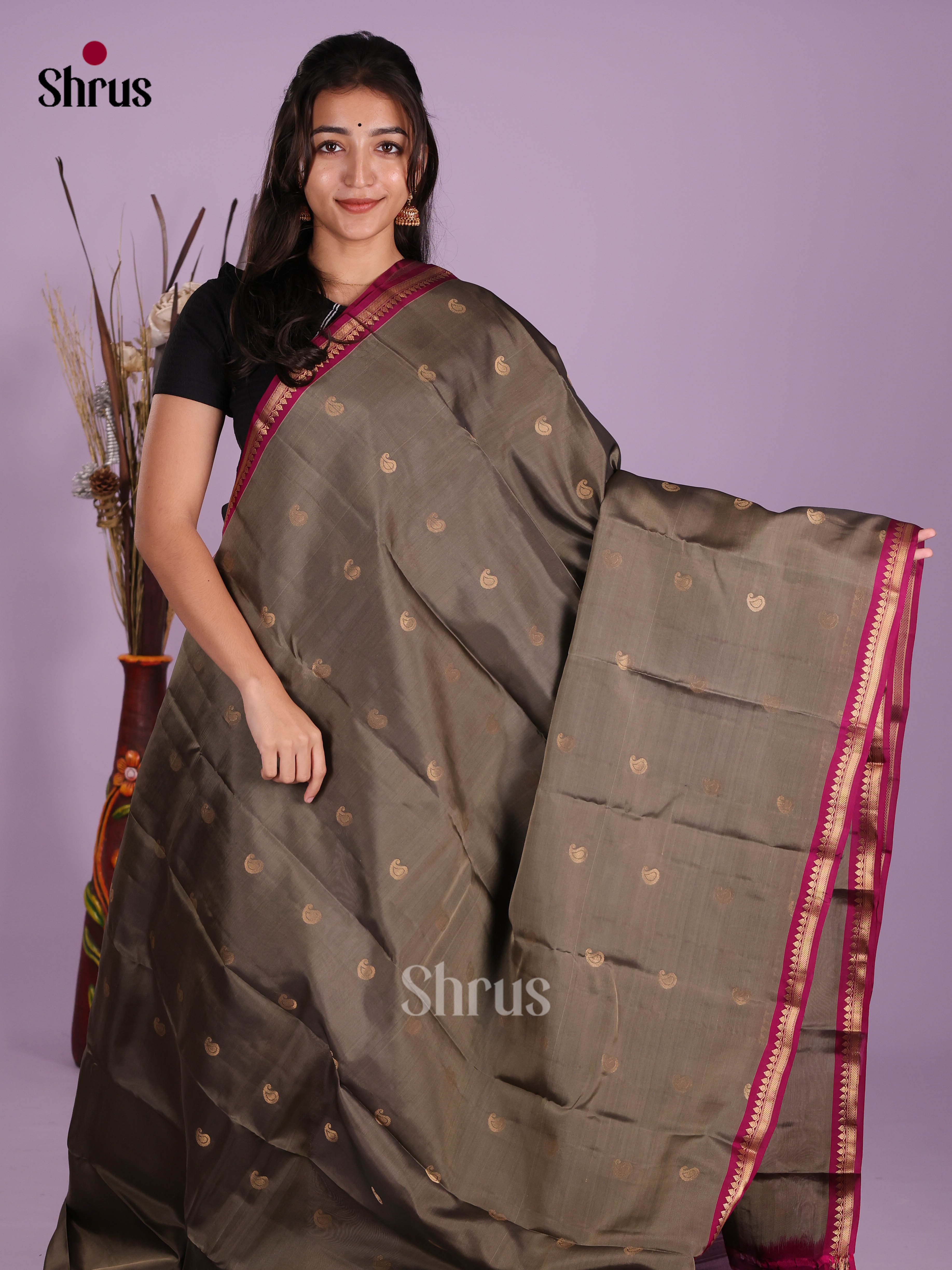 Grey & Purple - Kanchipuram-halfpure Saree - Shop on Shrus.com