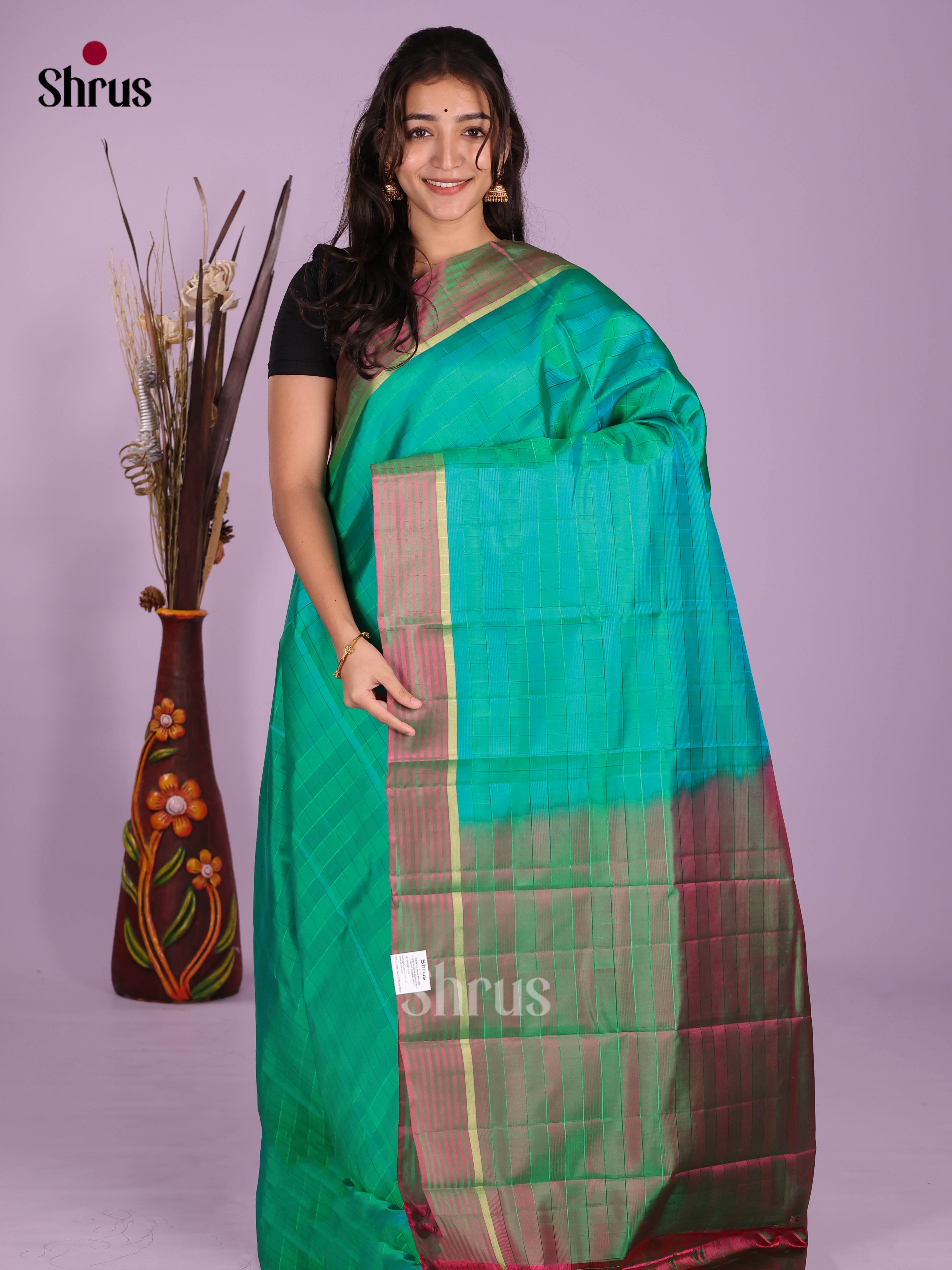 DKS11143 - Kanchipuram silk (LR) Saree