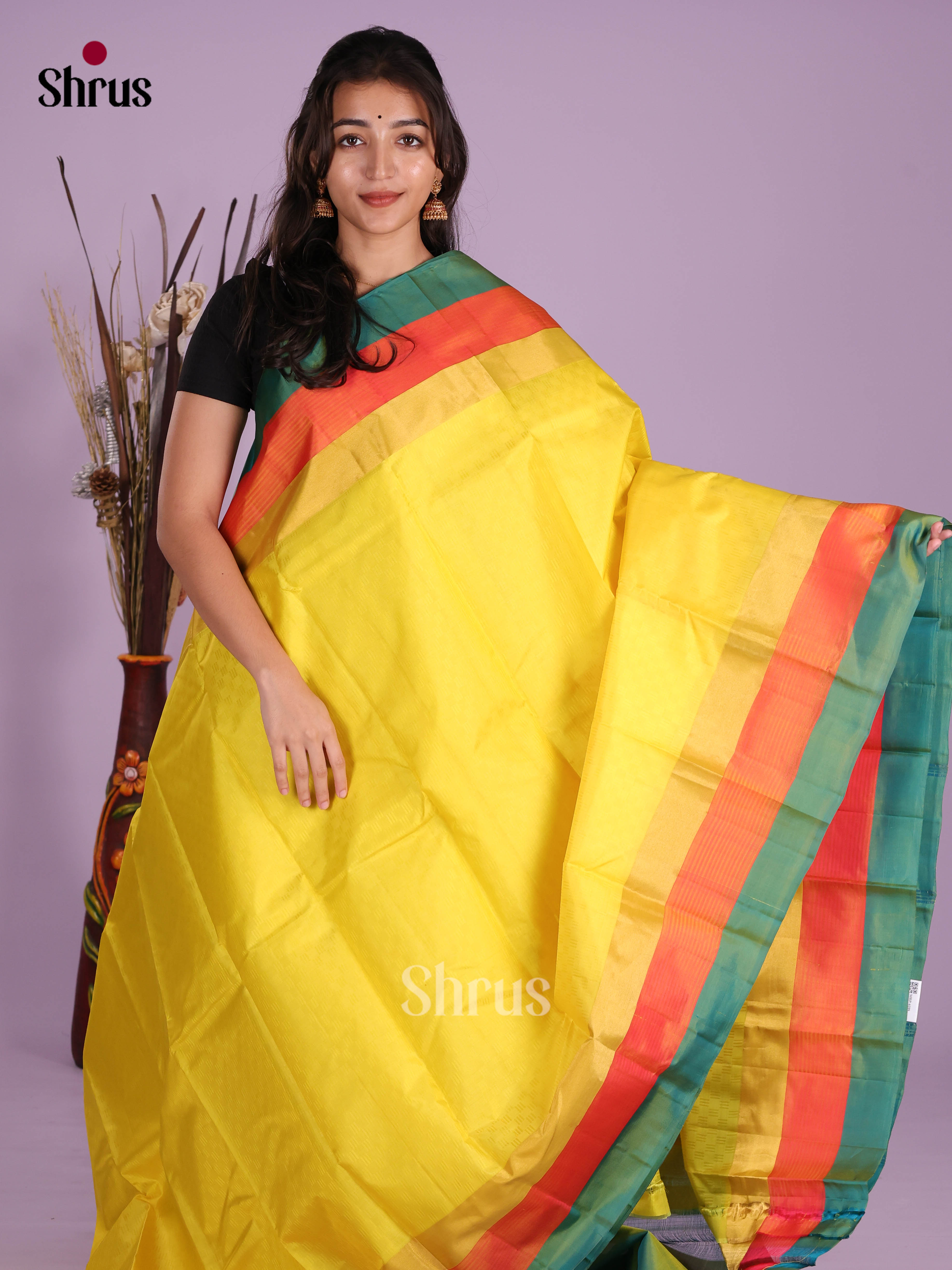 DKS11204 - Kanchipuram silk (LR) Saree