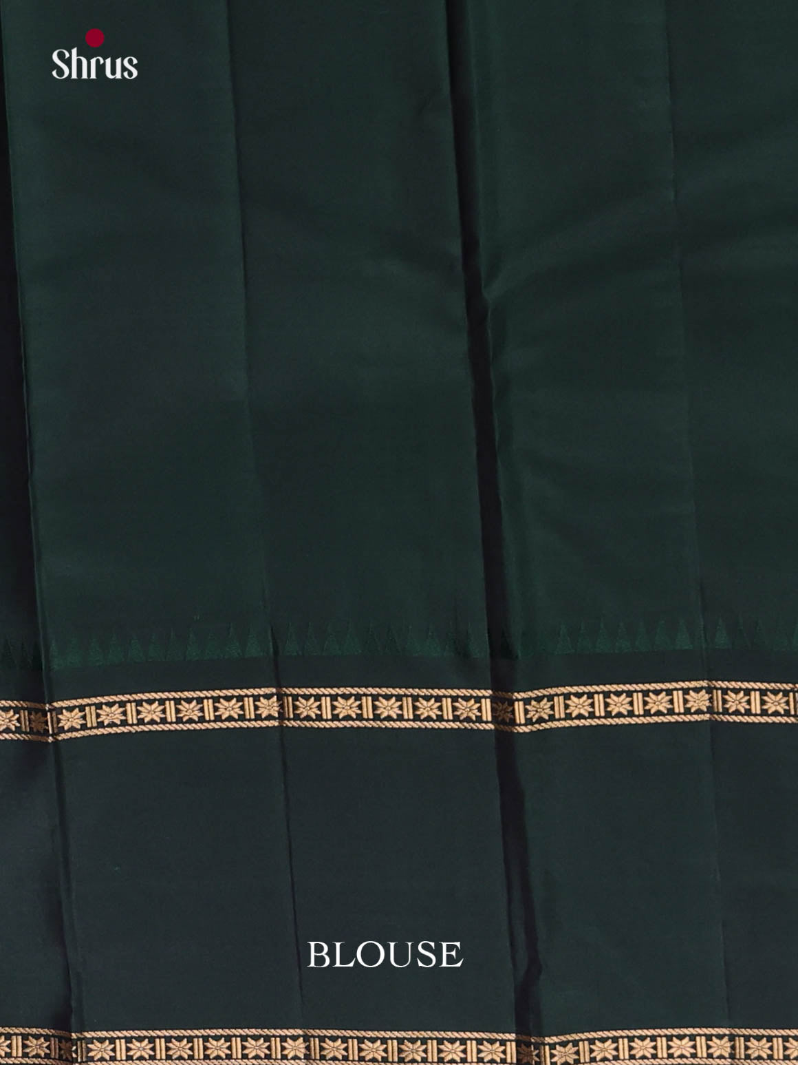 DKS11225 - Kanchipuram silk (LR) Saree