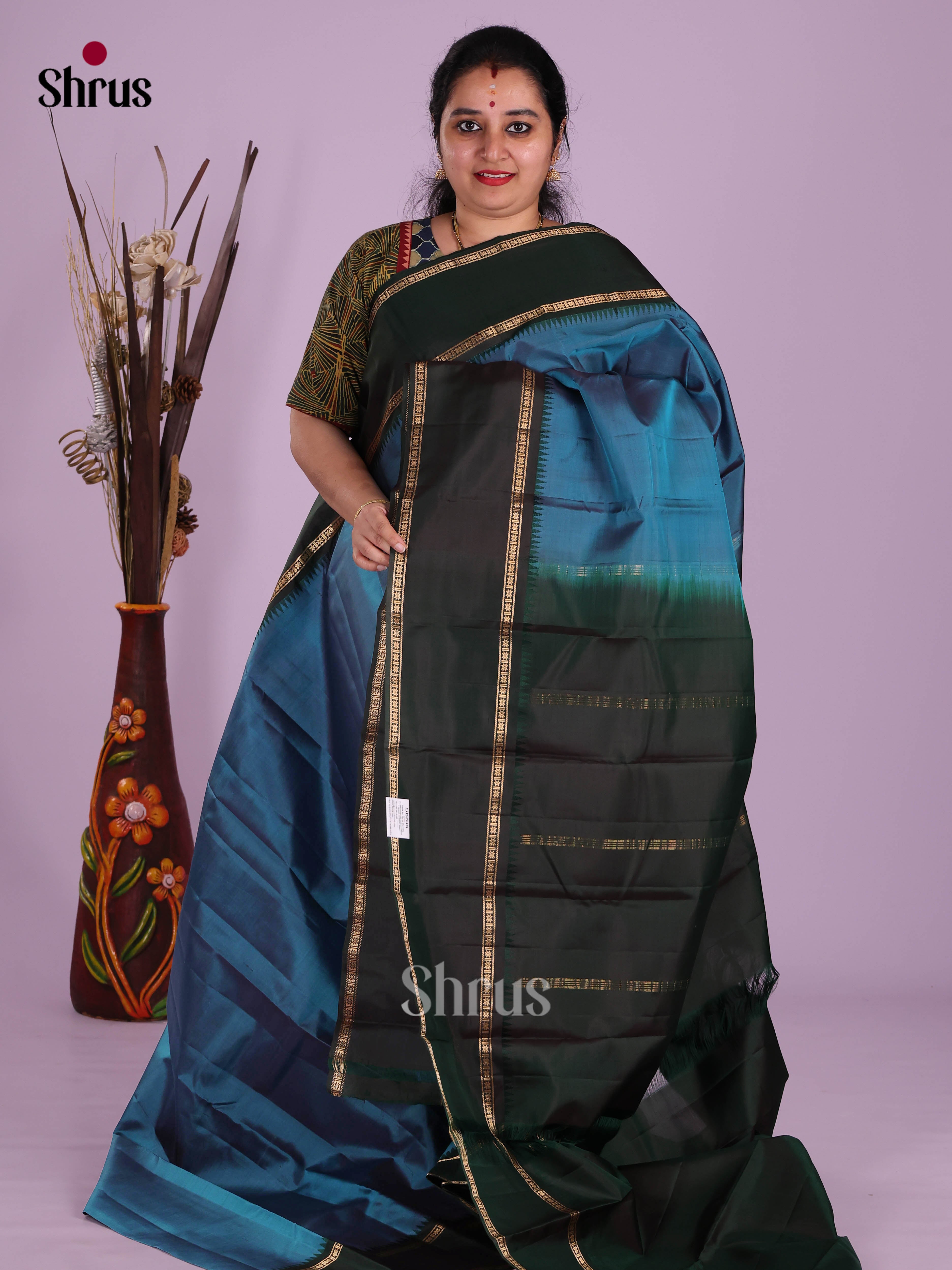 DKS11227 - Kanchipuram silk (LR) Saree