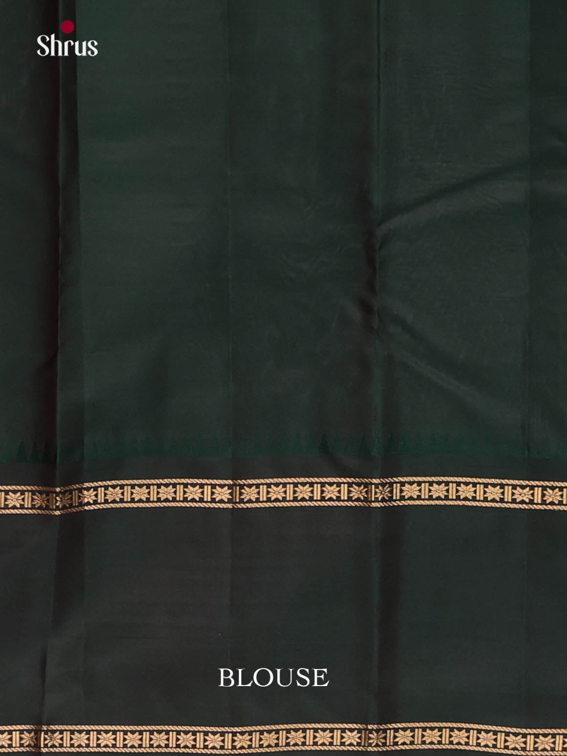DKS11227 - Kanchipuram silk (LR) Saree