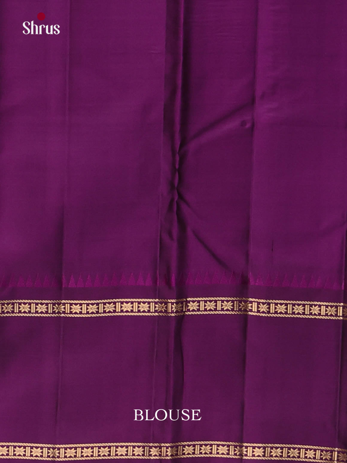 DKS11228 - Kanchipuram silk (LR) Saree