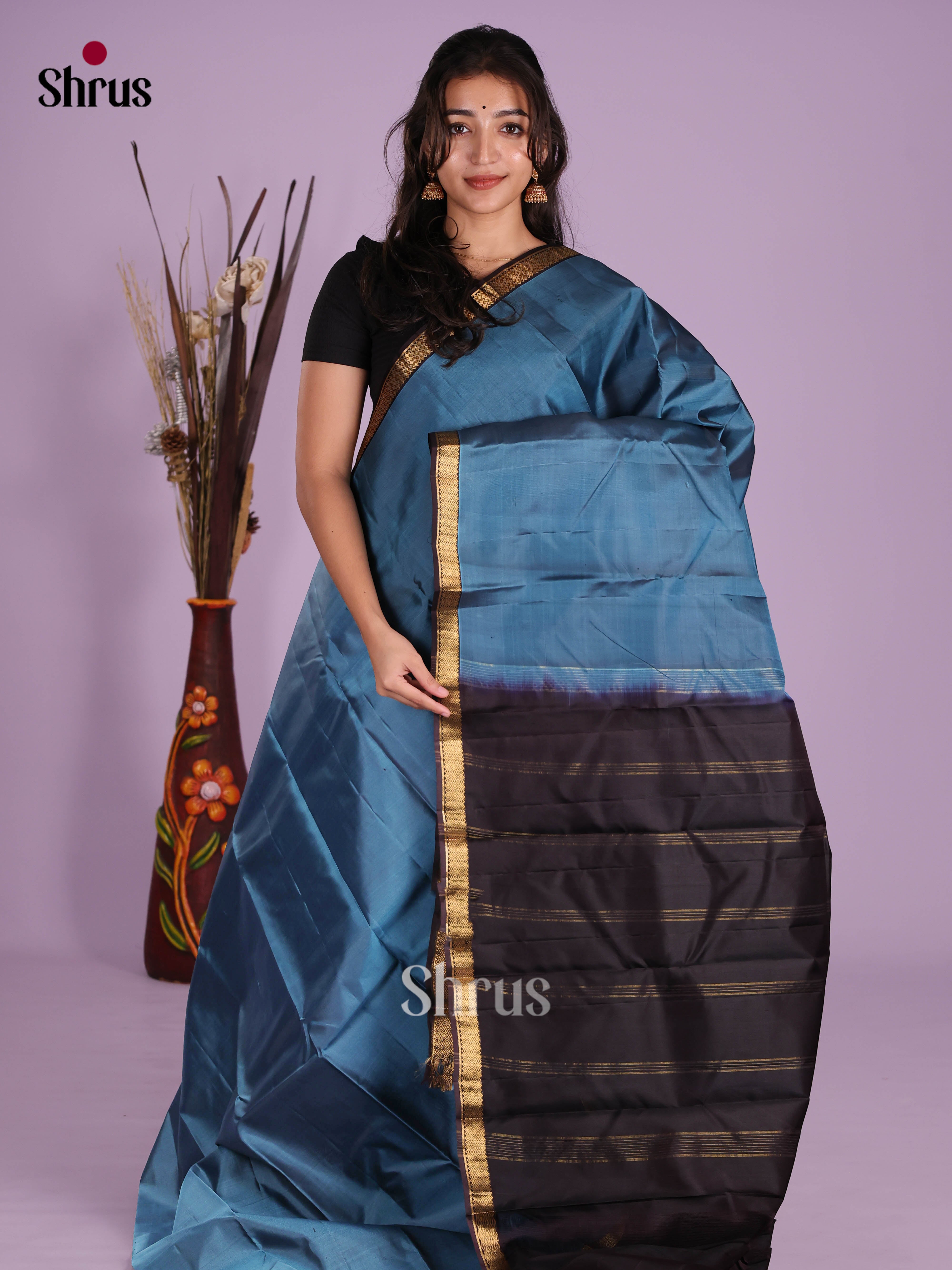DKS11245 - Kanchipuram silk (LR) Saree