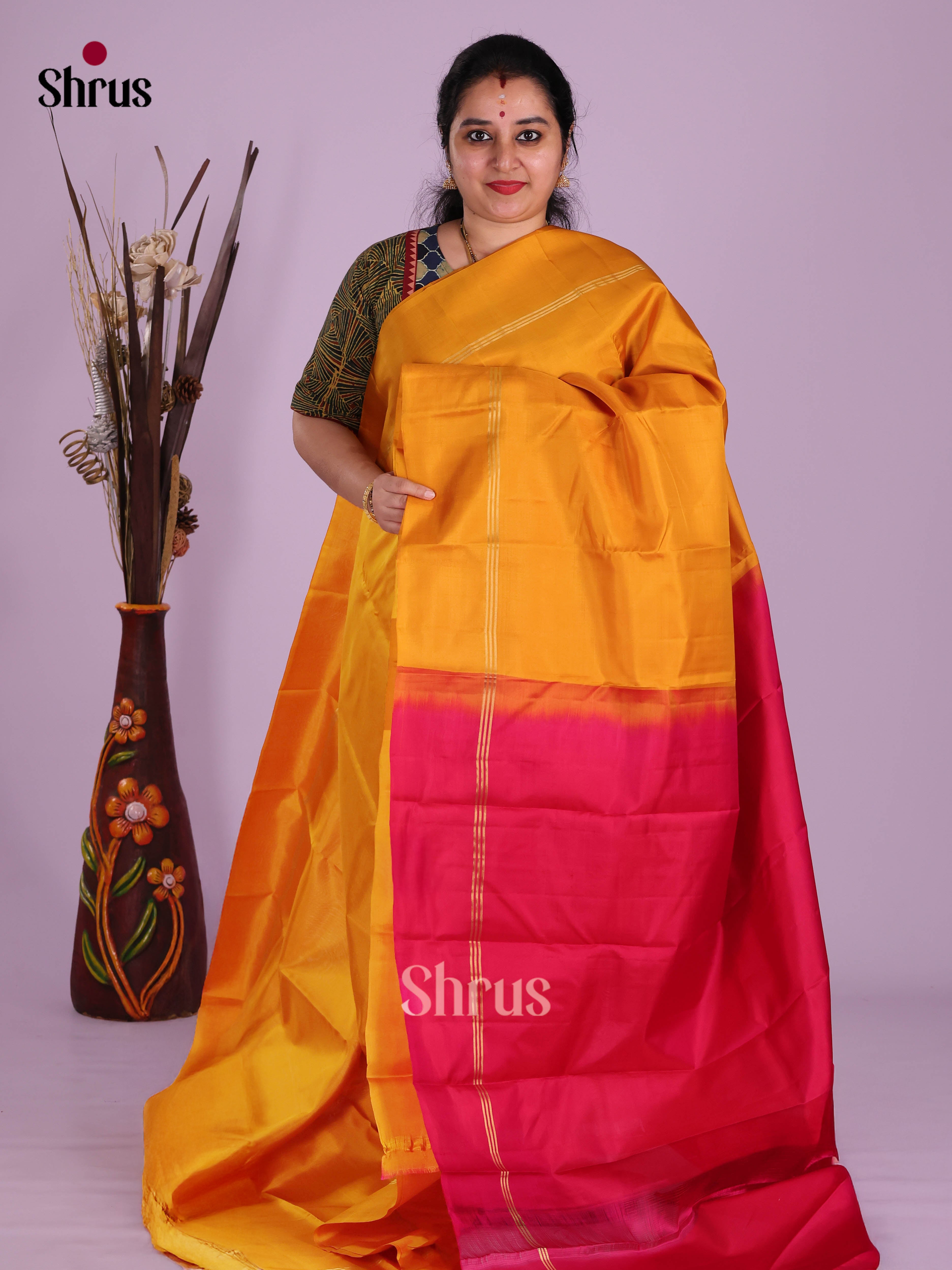 DKS11256 - Kanchipuram silk (LR) Saree