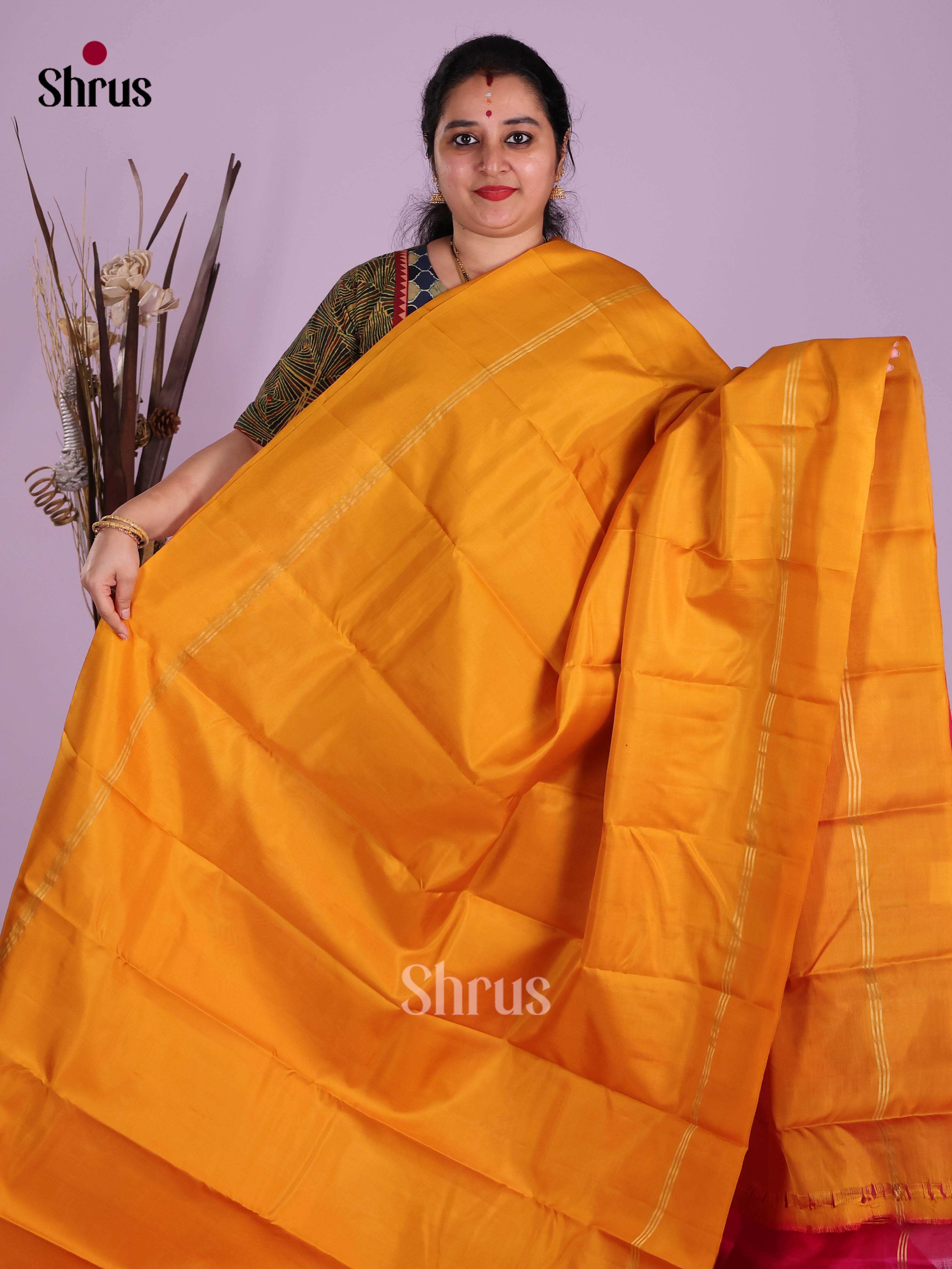 DKS11256 - Kanchipuram silk (LR) Saree