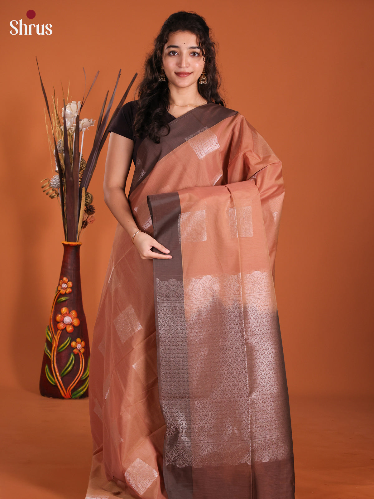 Light Brown & Brown -DKS11350 - Semi Silkcotton Saree