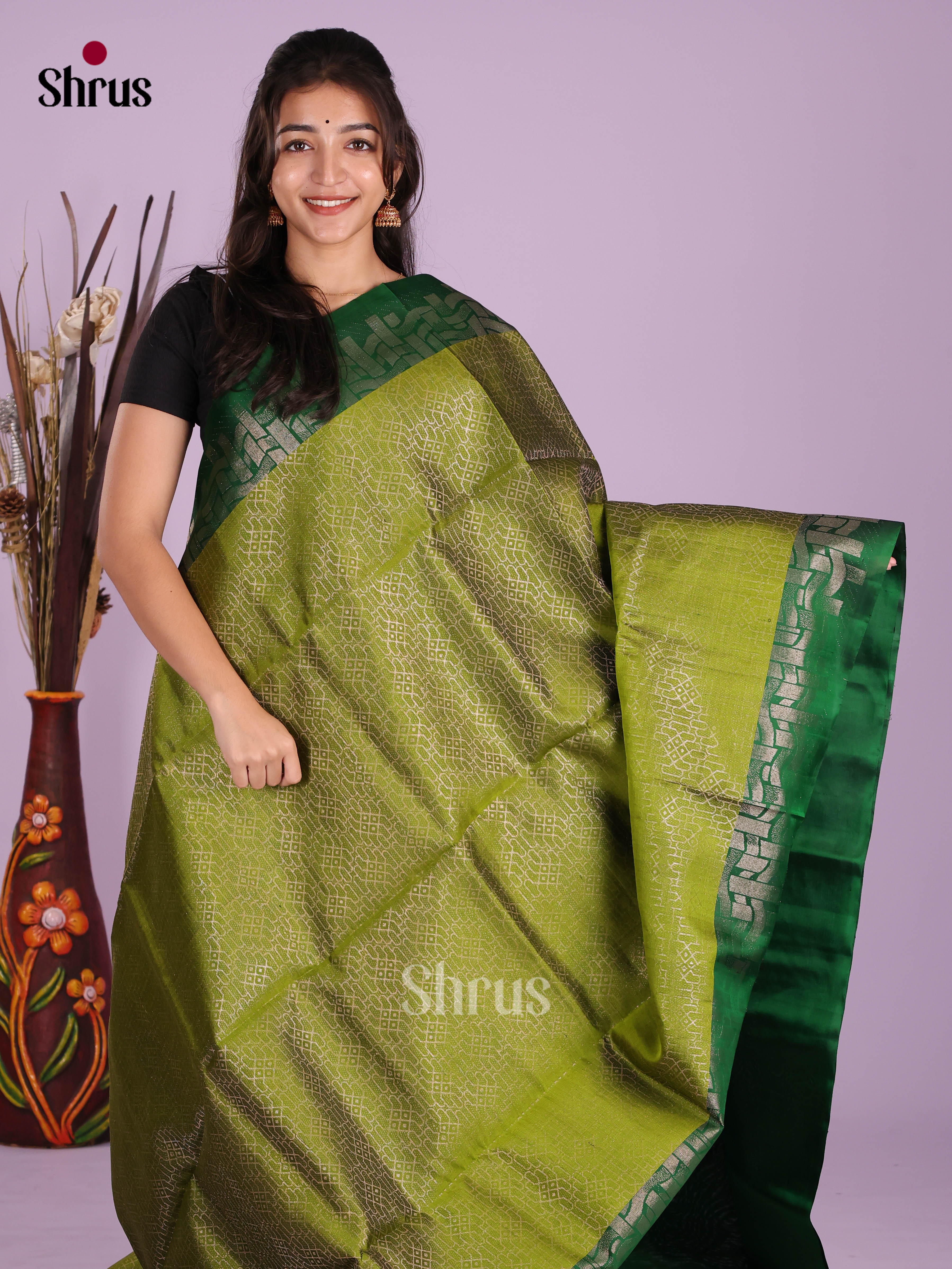 Light Green & Green Soft Silk Saree gleams with zari brocade & rich pallu