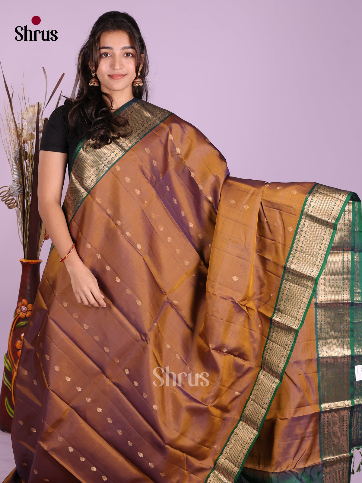 DKS12017 - Kanchipuram-halfpure Saree