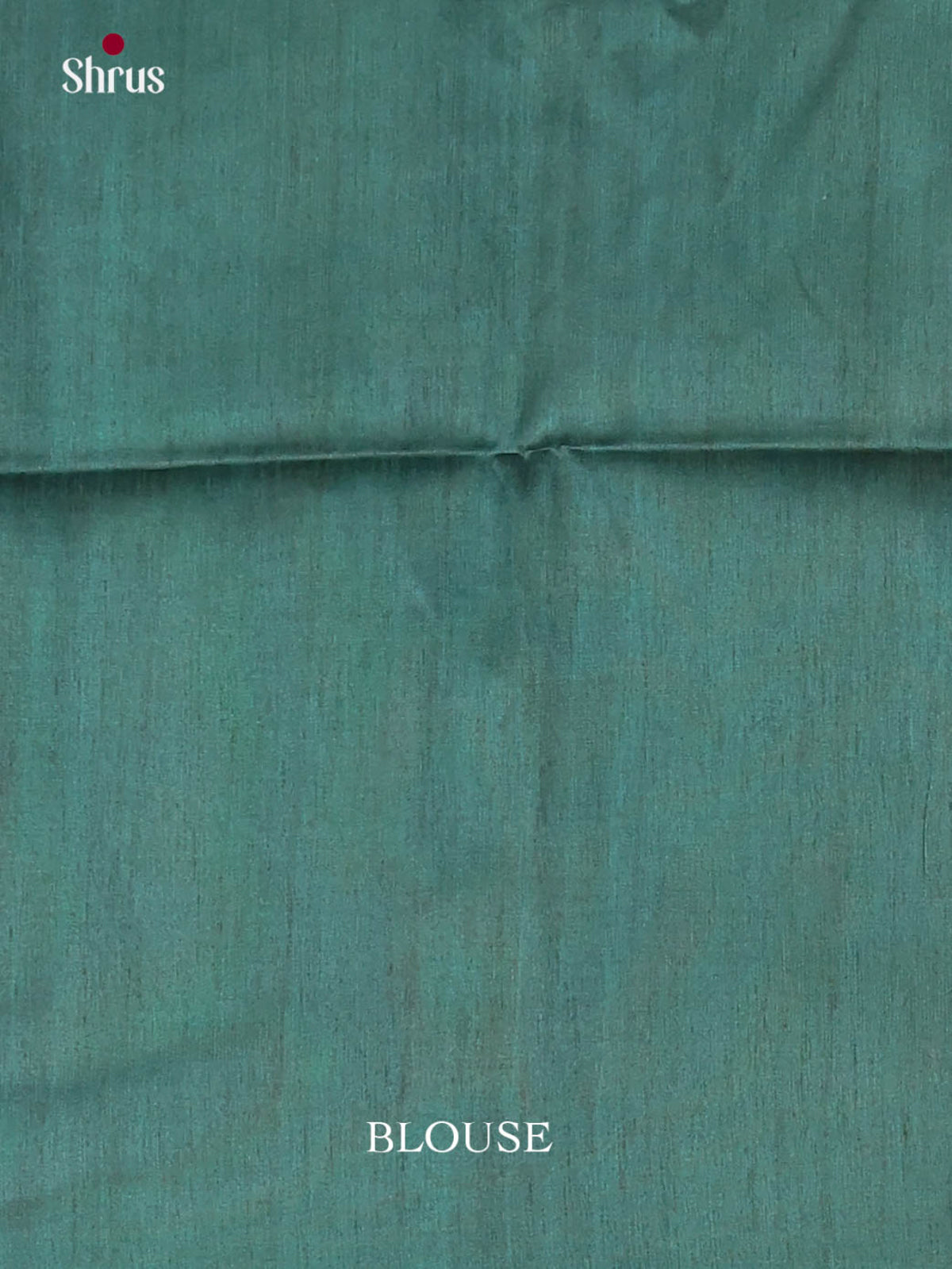 Green - Printed Madhubani Saree