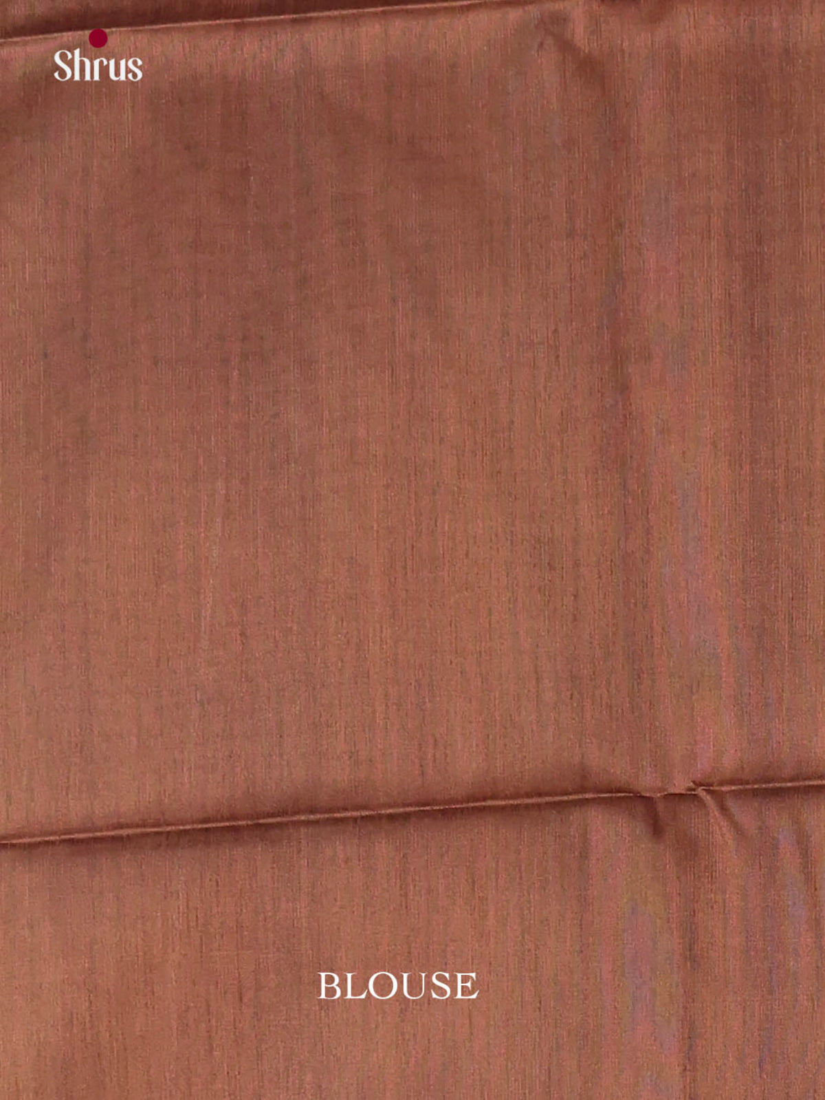 Brown - Printed Madhubani Saree