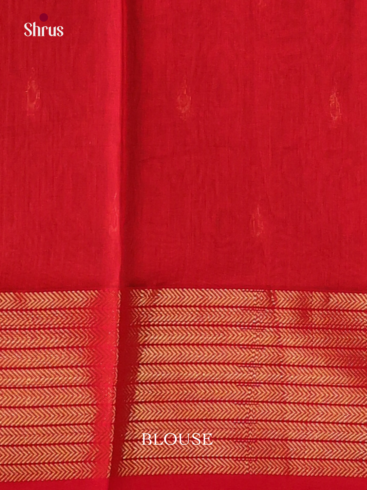 DKS12834 - Maheshwari silkcotton Saree