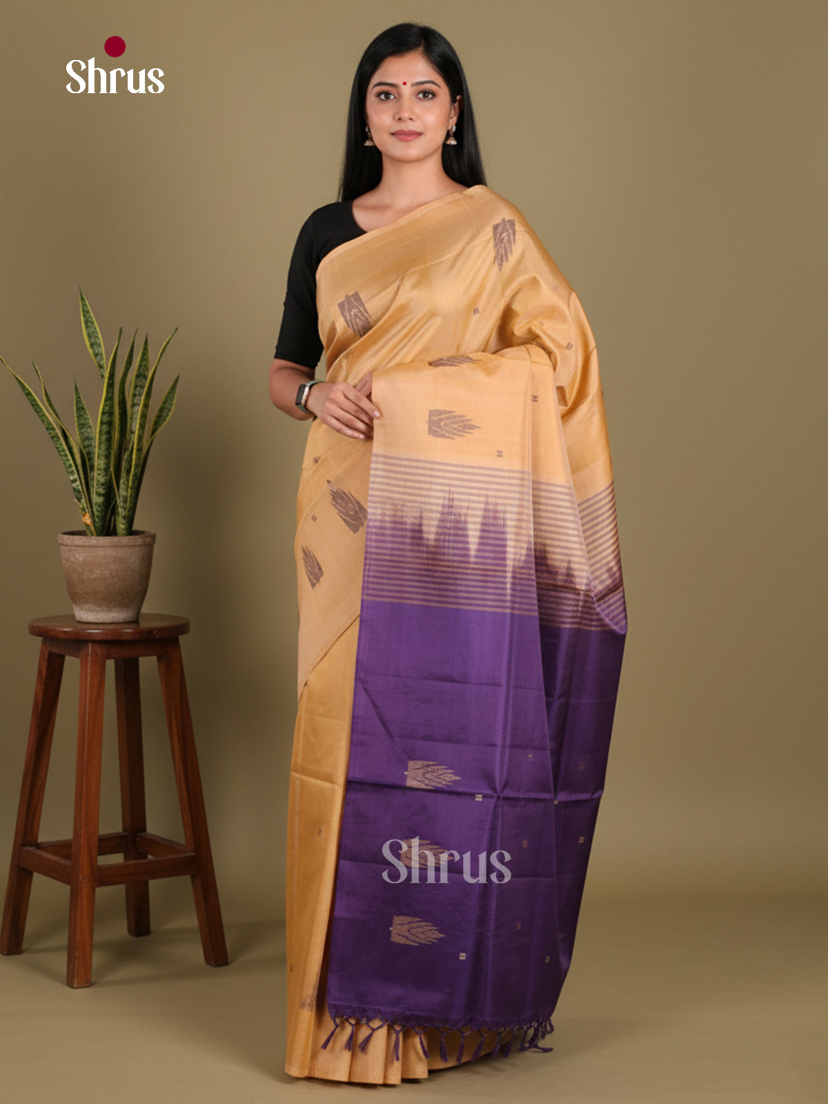 DKS13117 - Chettinad Cotton Saree
