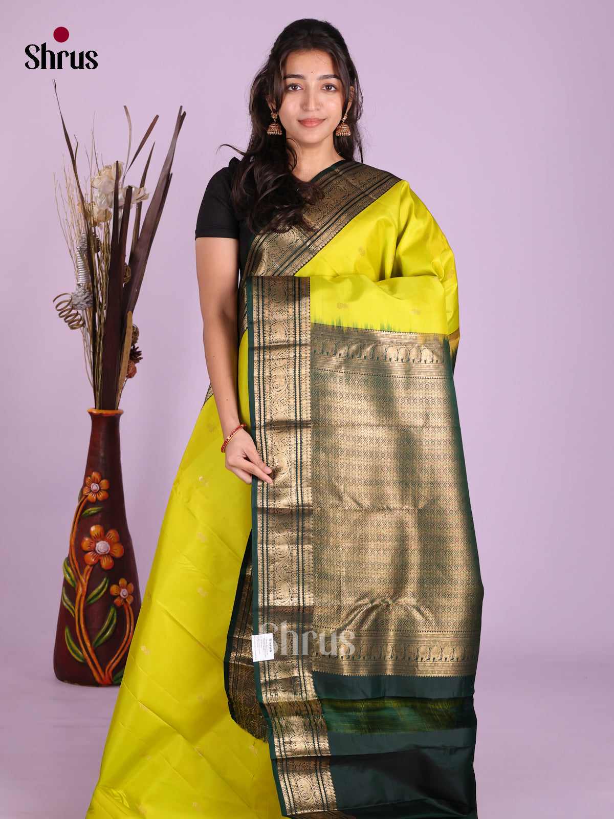DKS13441 - Kanchipuram silk (HR) Saree