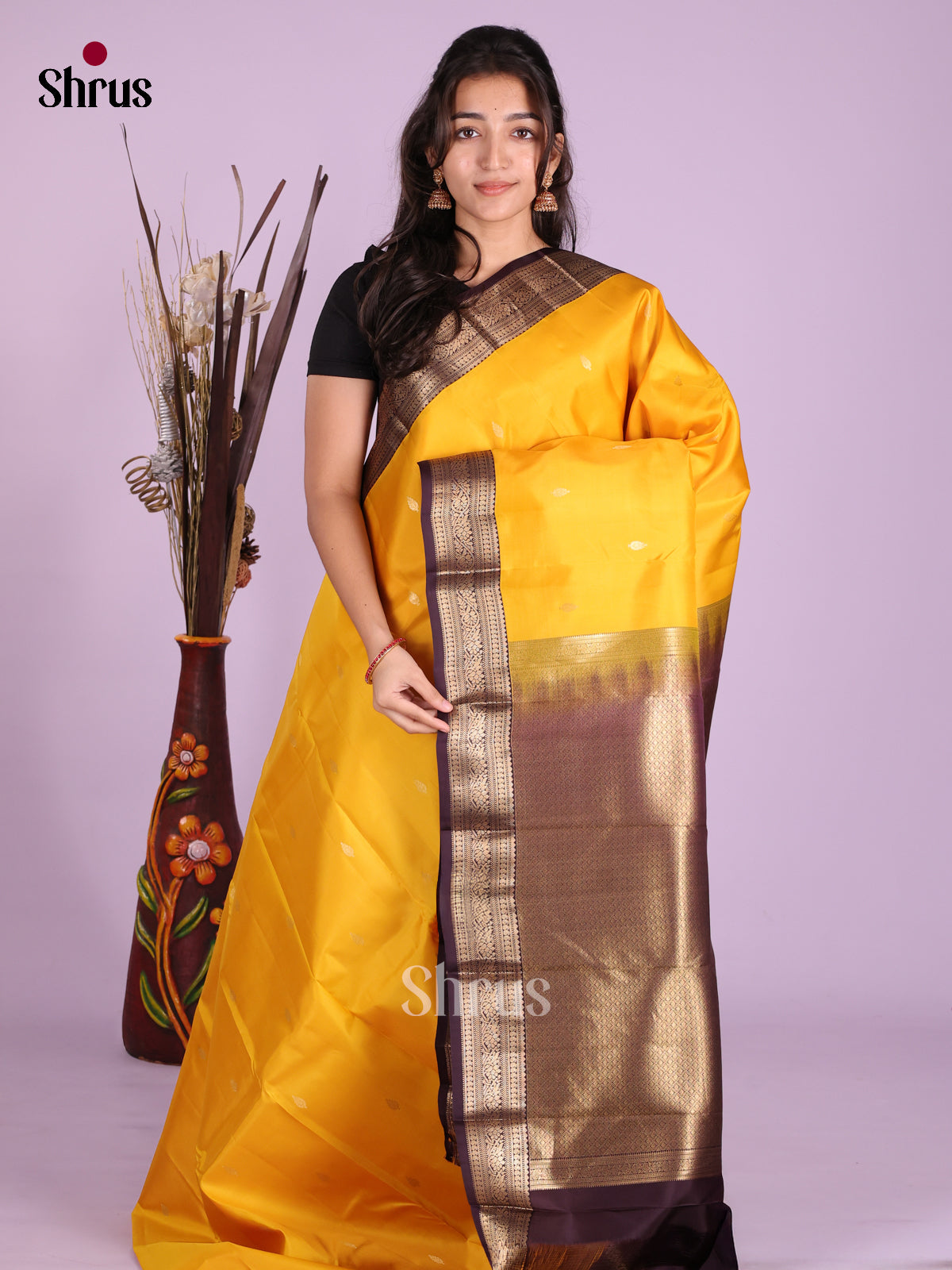 DKS13443 - Kanchipuram silk (HR) Saree