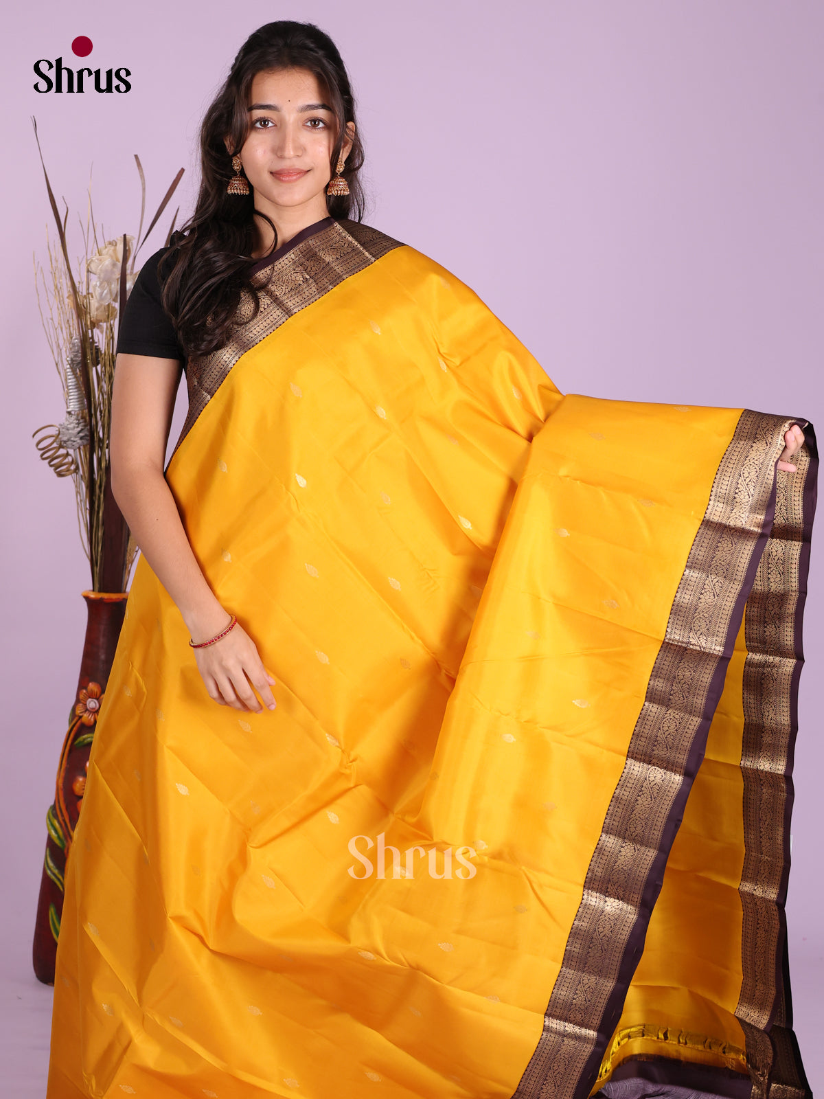 DKS13443 - Kanchipuram silk (HR) Saree