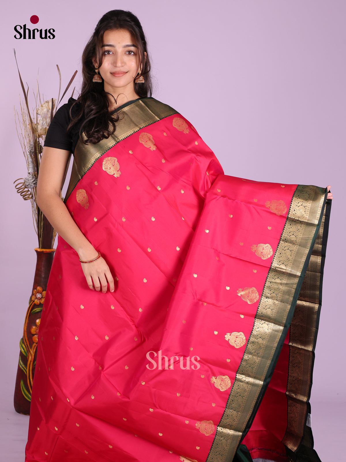 DKS13447 - Kanchipuram silk (HR) Saree