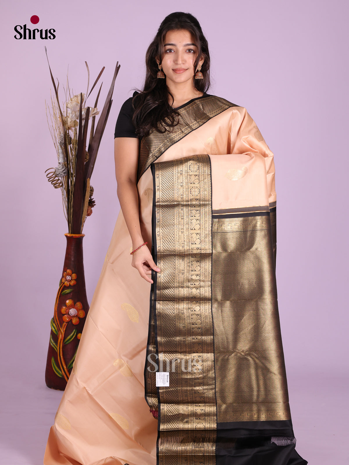 DKS13458 - Kanchipuram silk (HR) Saree