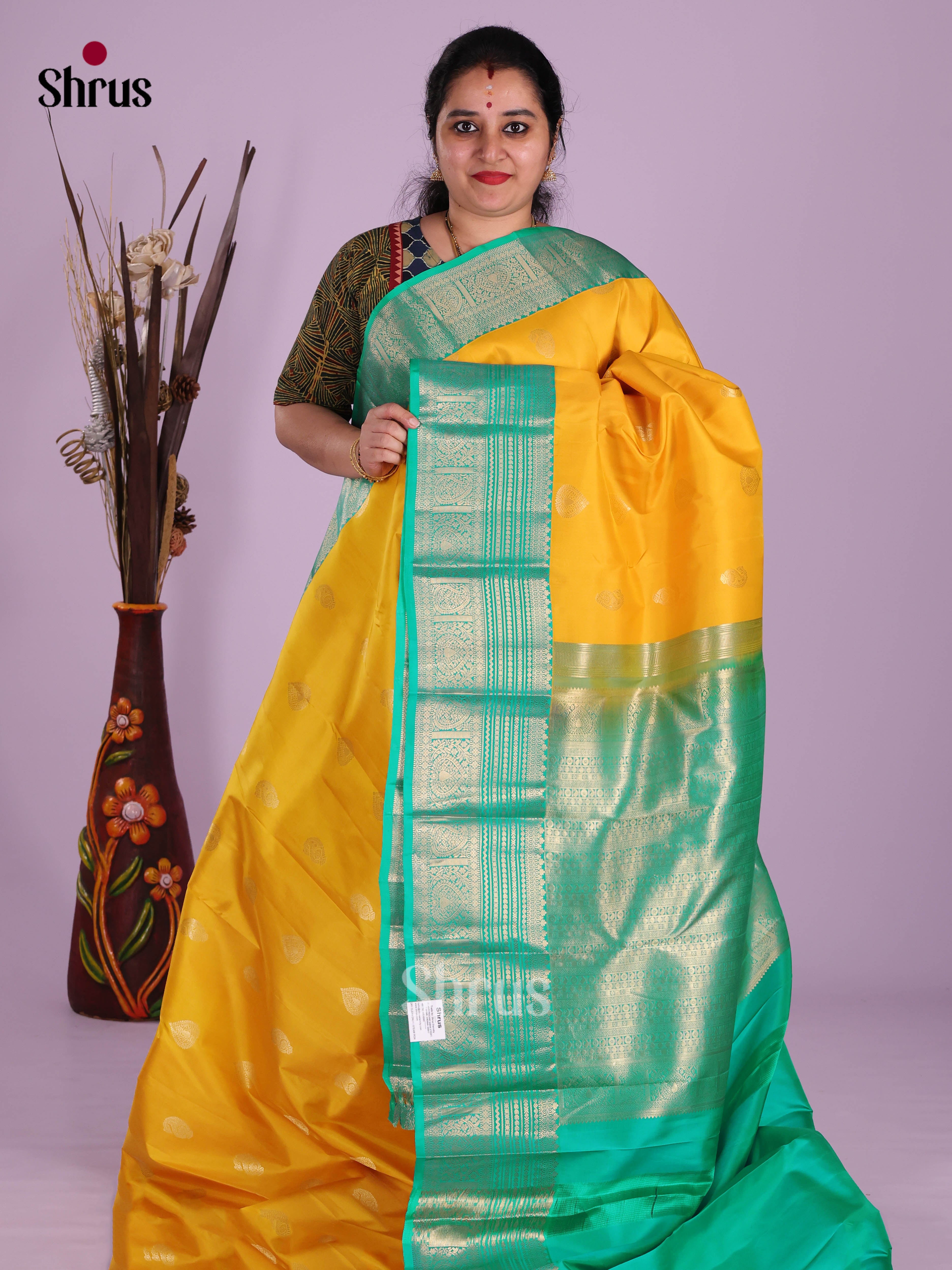 DKS13459 - Kanchipuram silk (HR) Saree