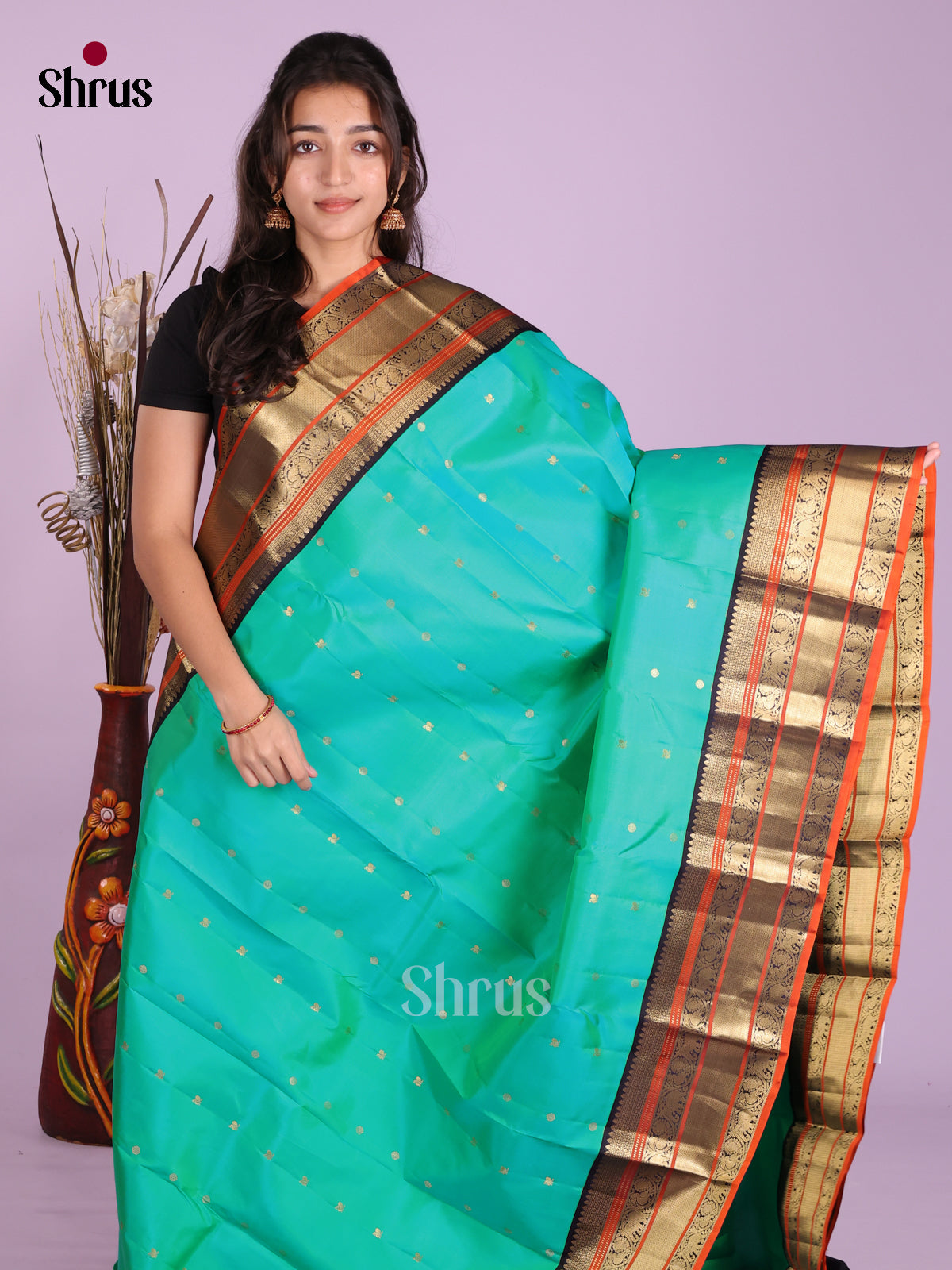 DKS13466 - Kanchipuram silk (HR) Saree