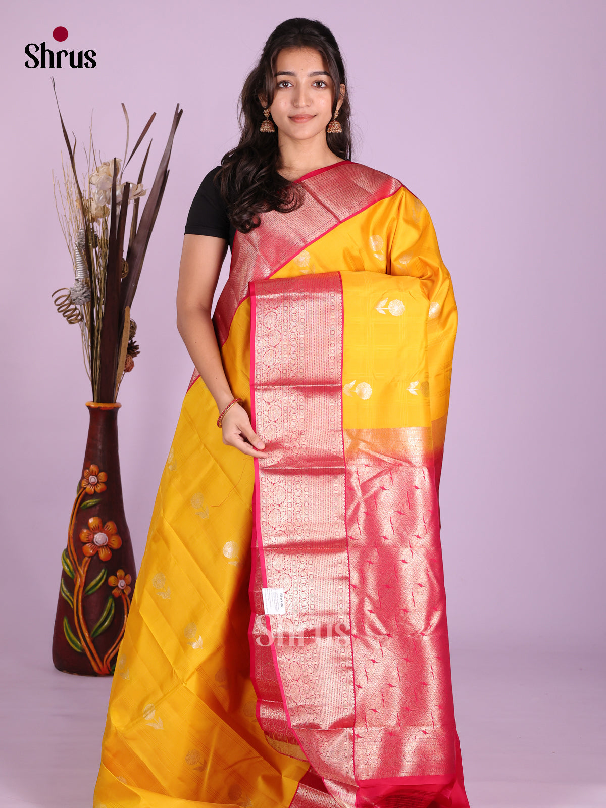 DKS13480 - Kanchipuram silk (HR) Saree