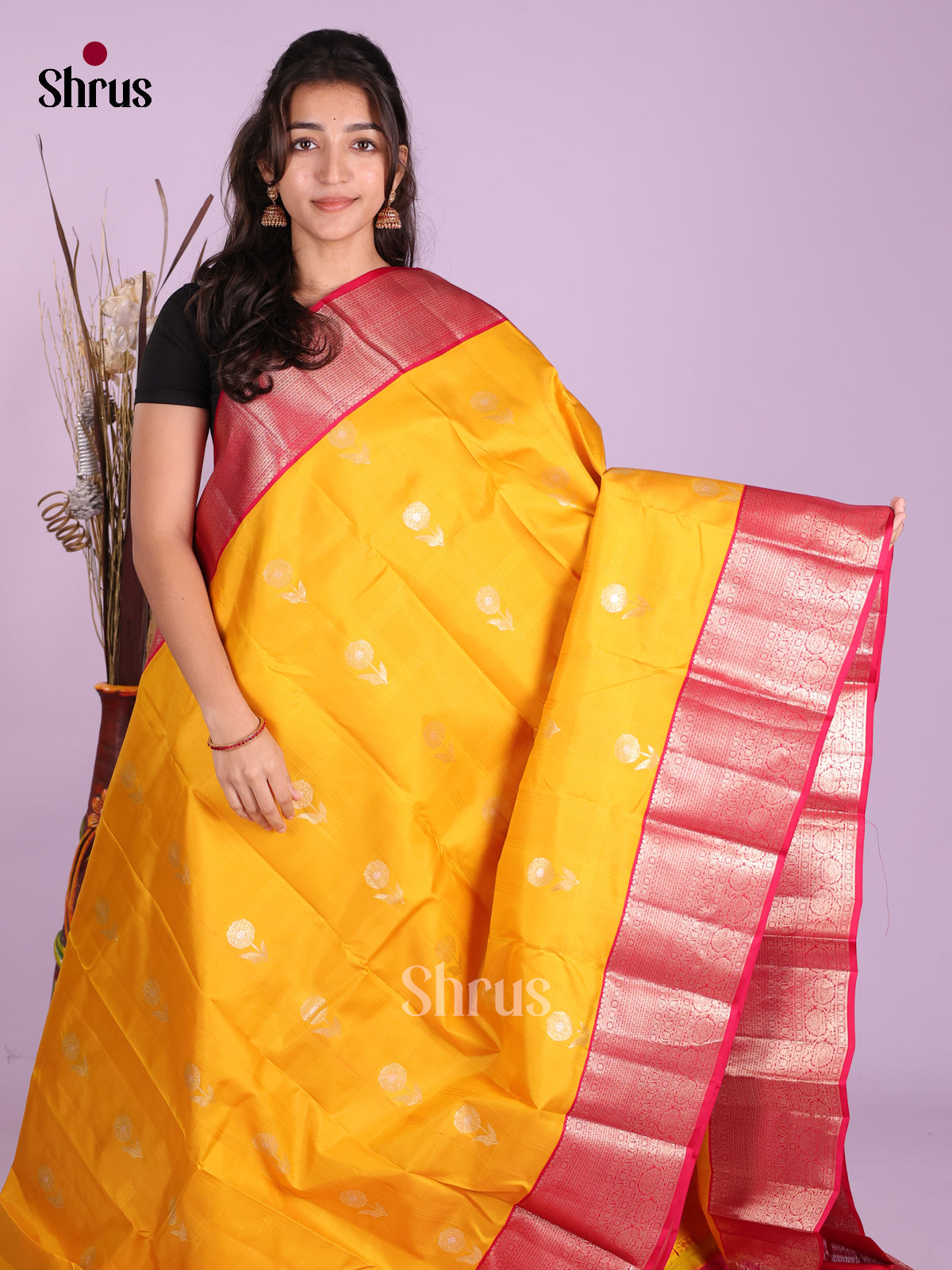 DKS13480 - Kanchipuram silk (HR) Saree