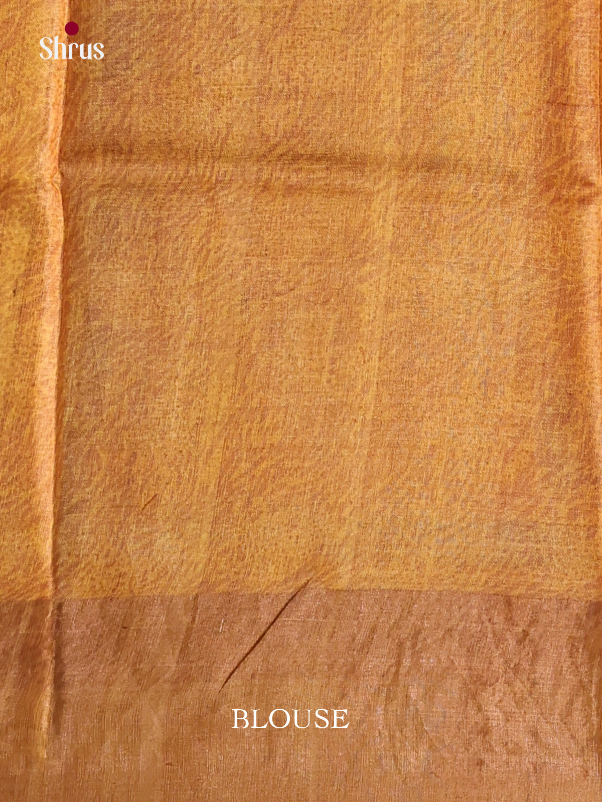 DKS15009 - Printed Tussar Saree