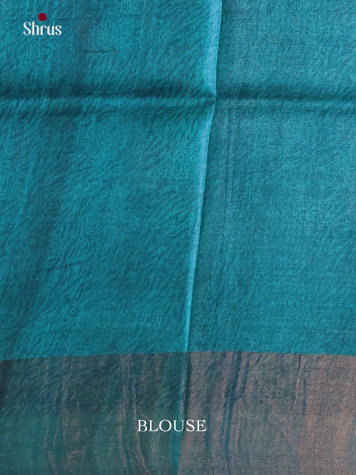 DKS15010 - Printed Tussar Saree