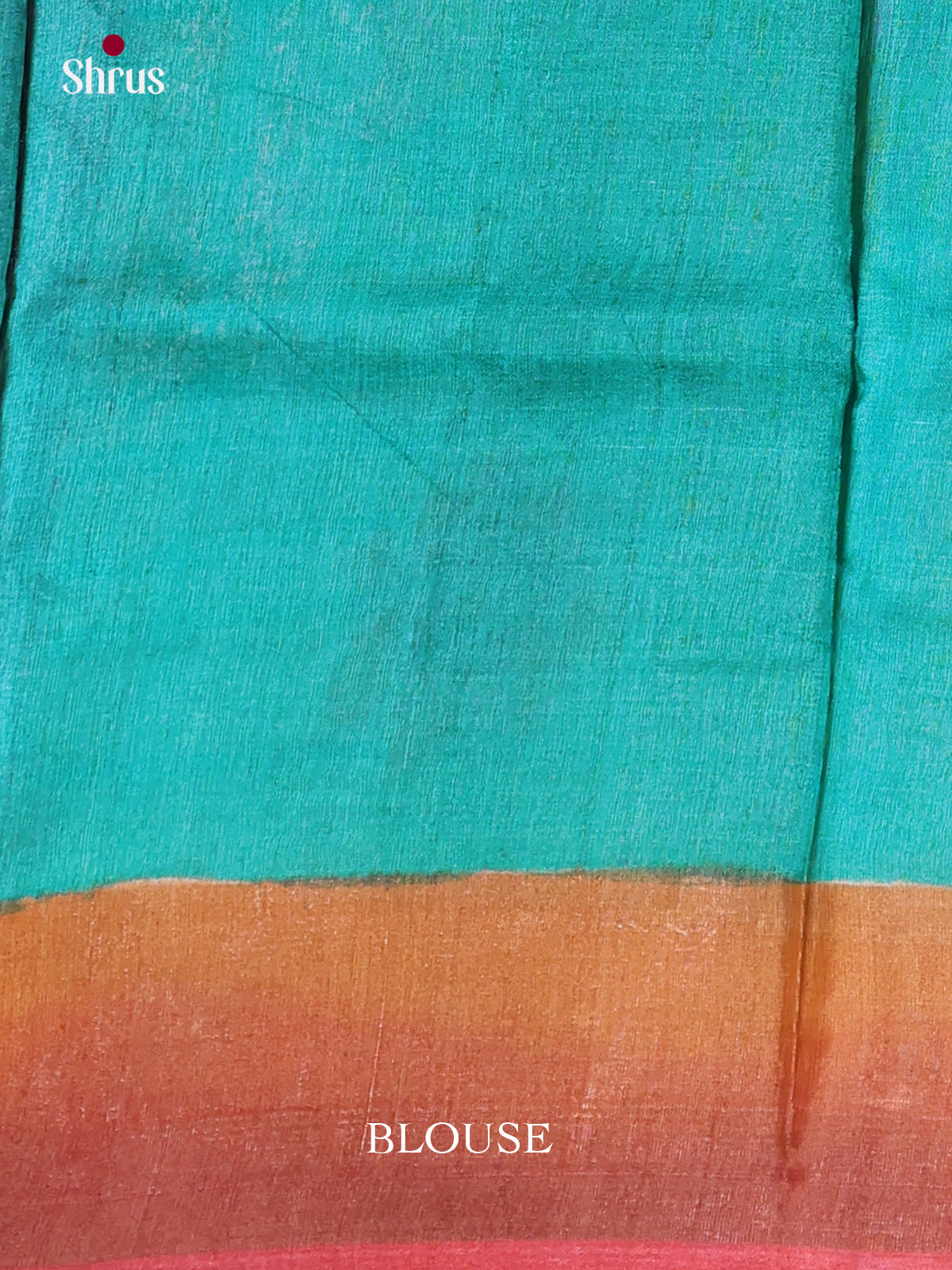 DKS15040 - Handpainted Tussar Saree