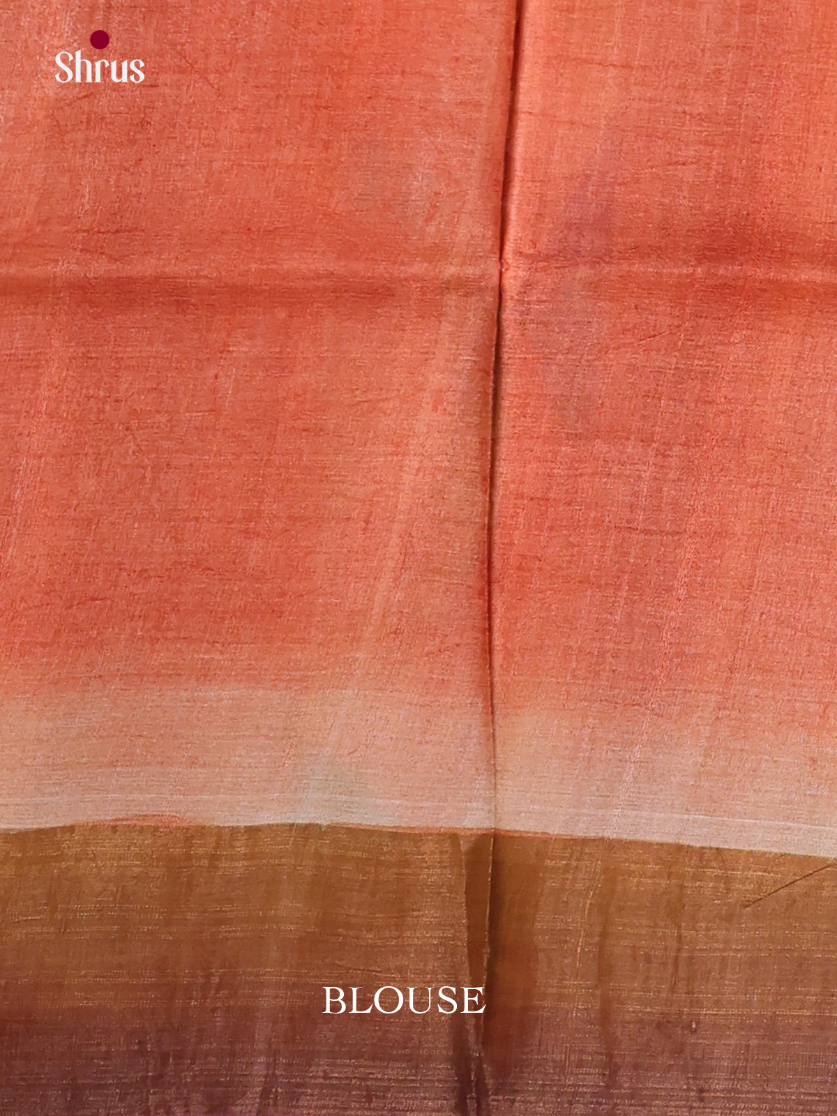 DKS15059 - Handpainted Tussar Saree