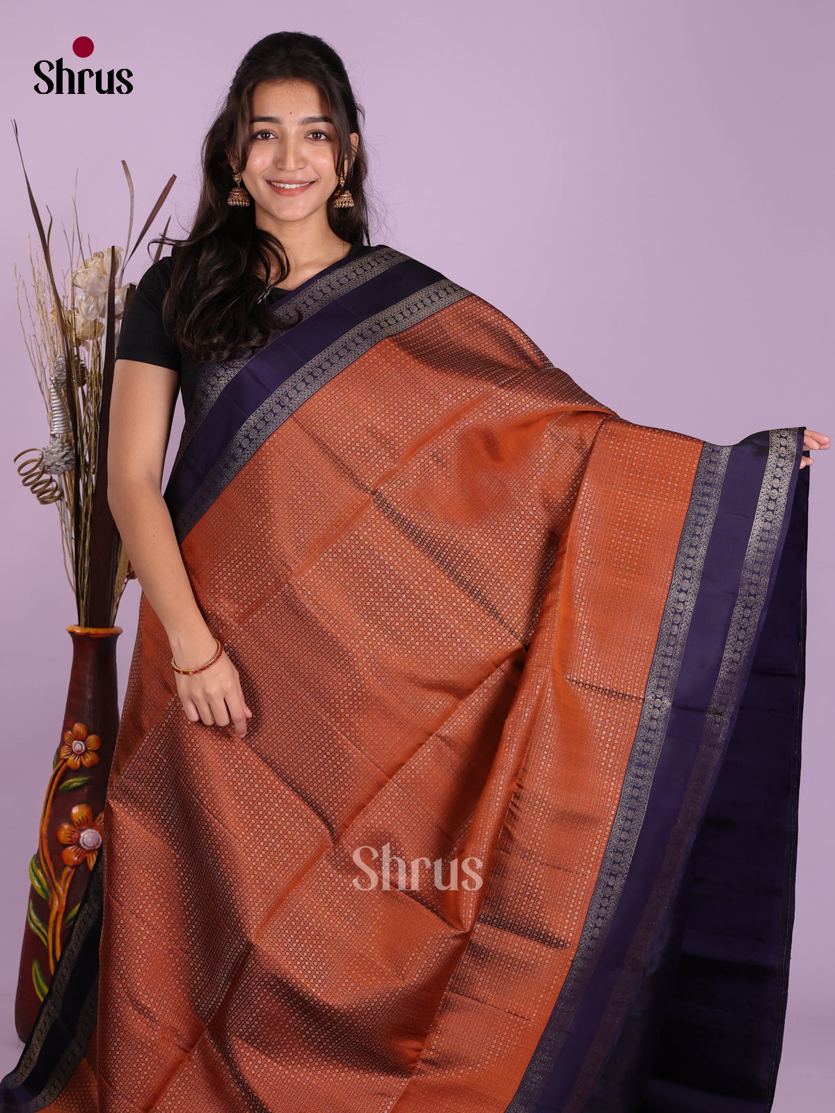 Classic Brown & Blue Soft Silk Saree with zari checks & rettaipet border