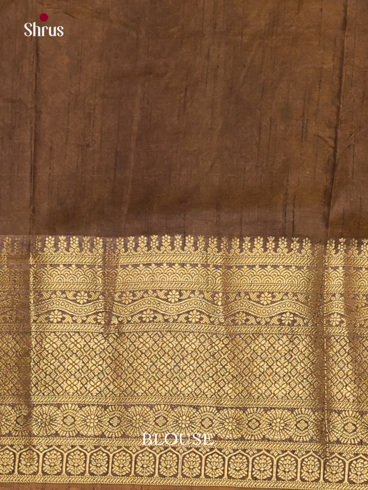 Multicolor & Chutney Green- Semi Patola Saree