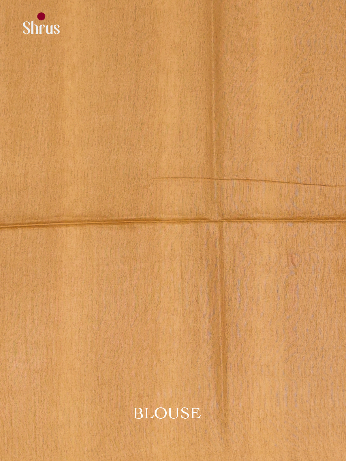 Green & Brown - Shibori Saree