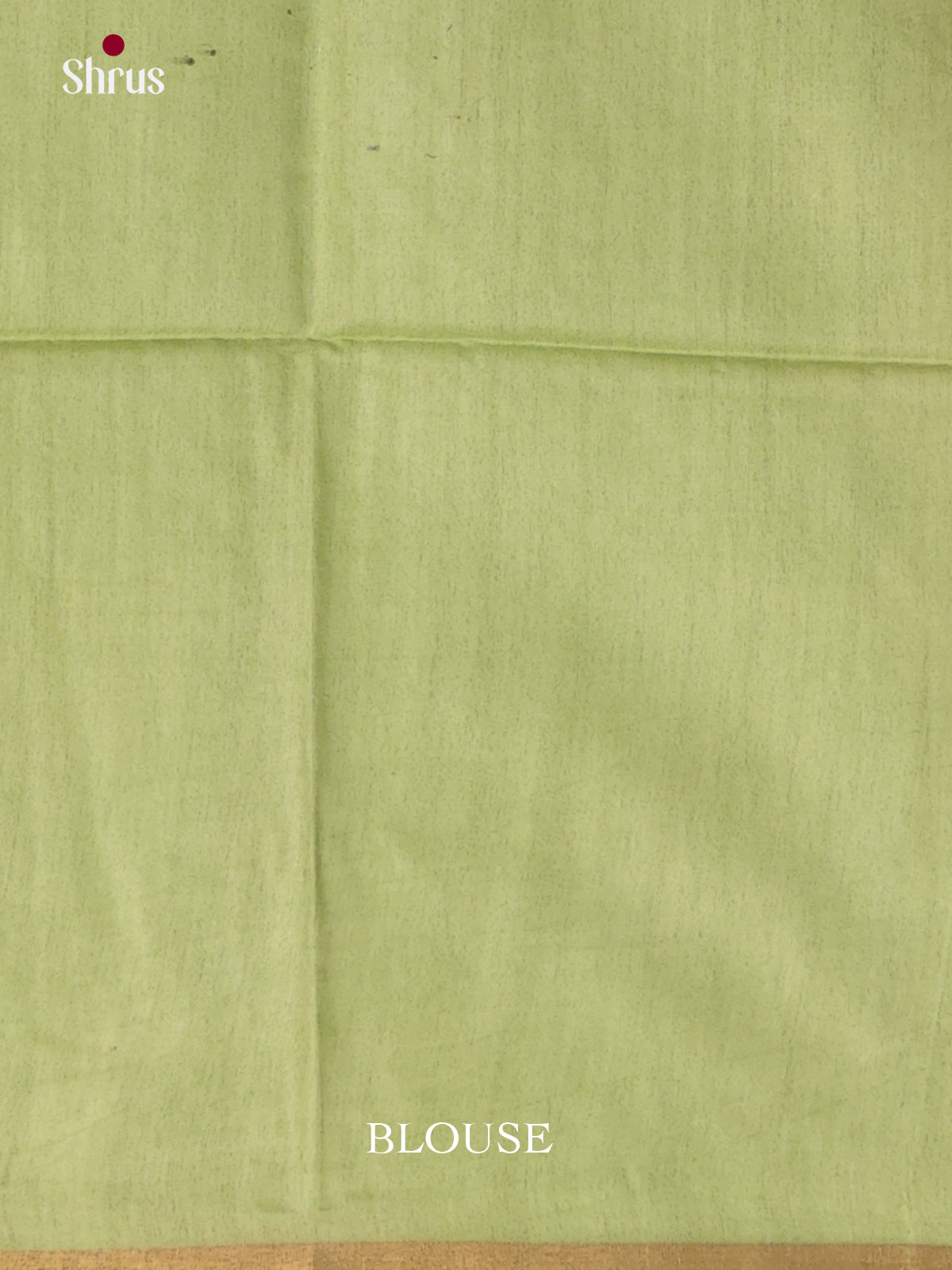 Cream & Light Green - Shibori Saree