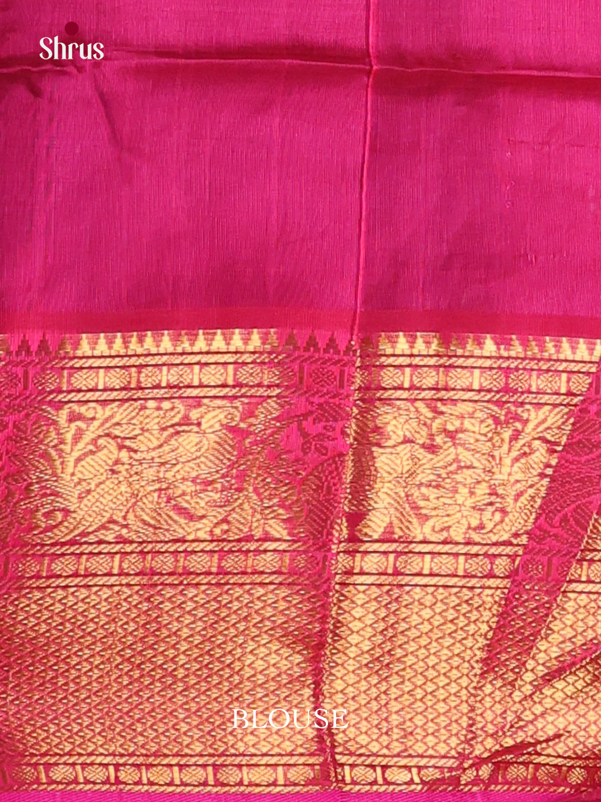 DKS24293 - Silk Cotton Saree - Shop on Shrus.com