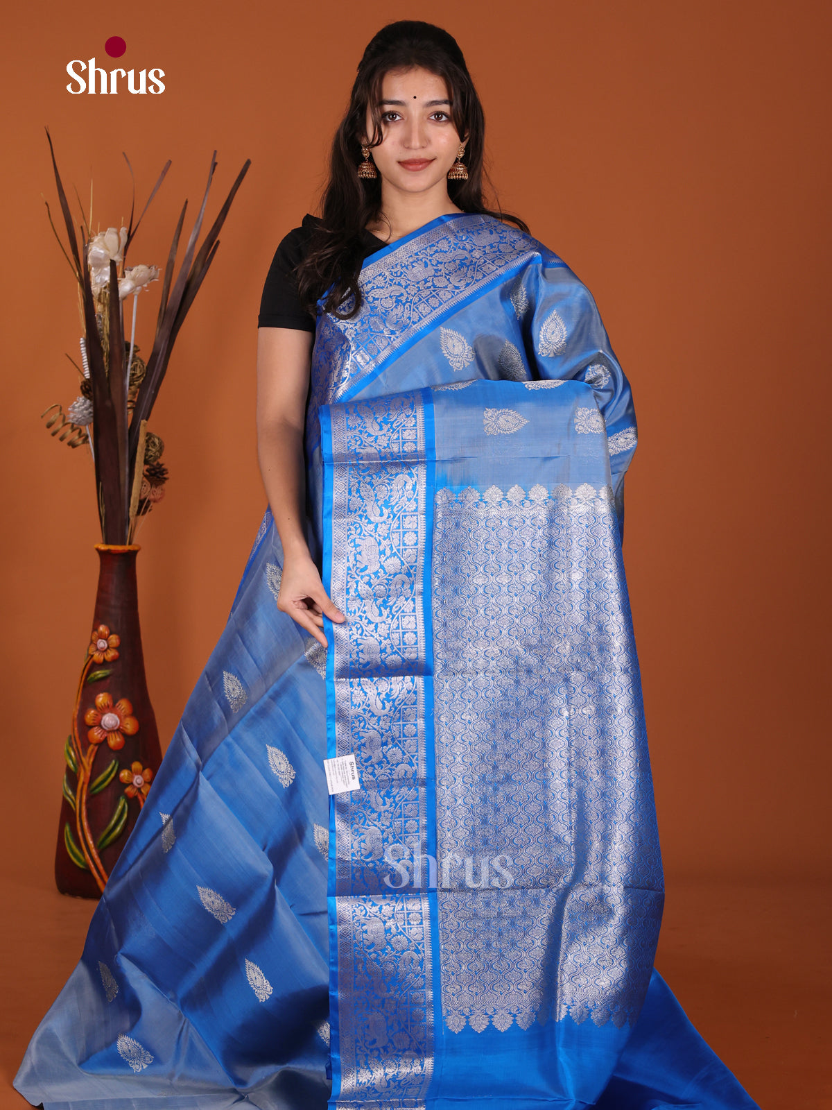 DKS24431 - Venkatagiri silk Saree