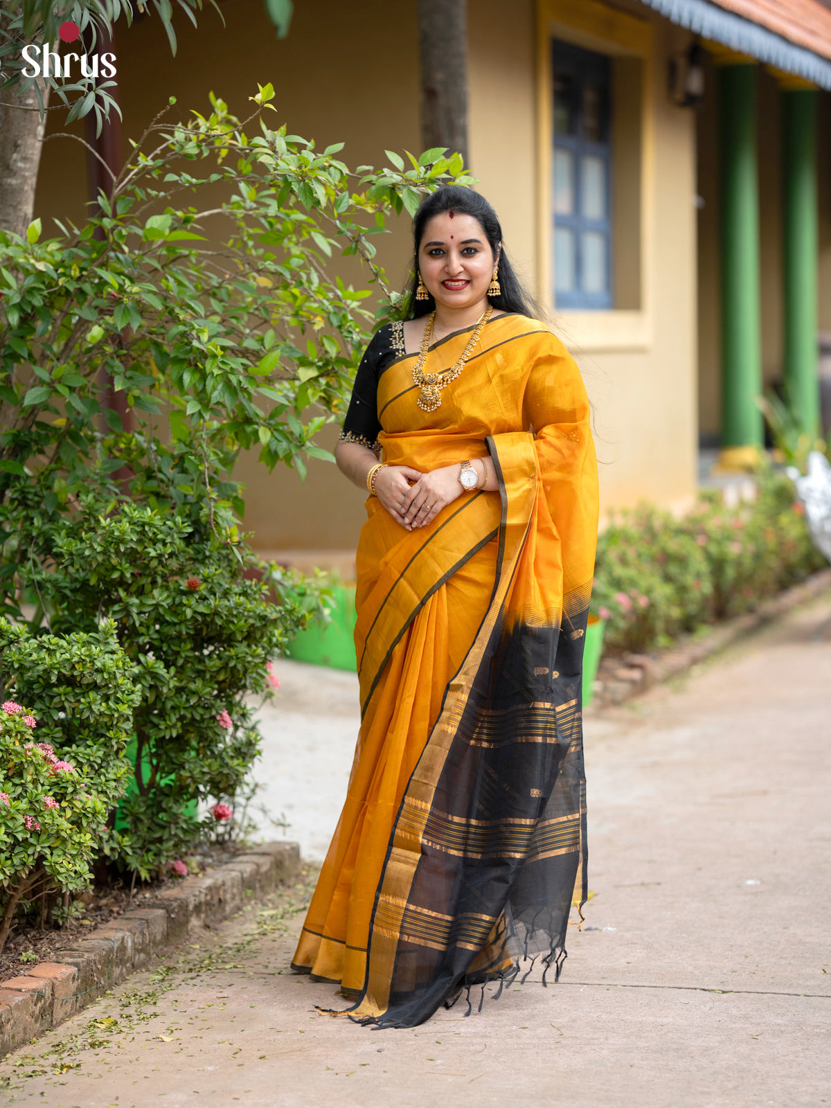 Glorious Mustard & Black Silk Cotton Saree with kaddi zari border - Shop on Shrus.com