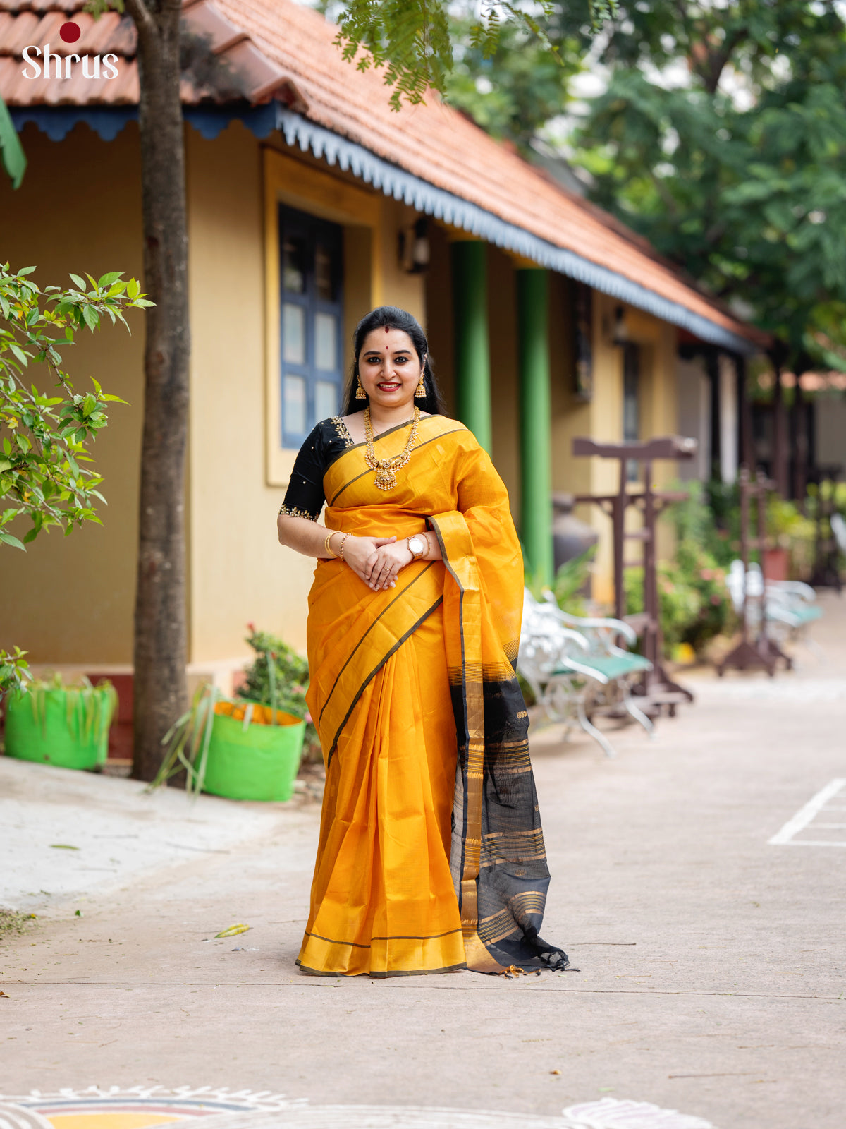 DKS24491 - Silk Cotton Saree