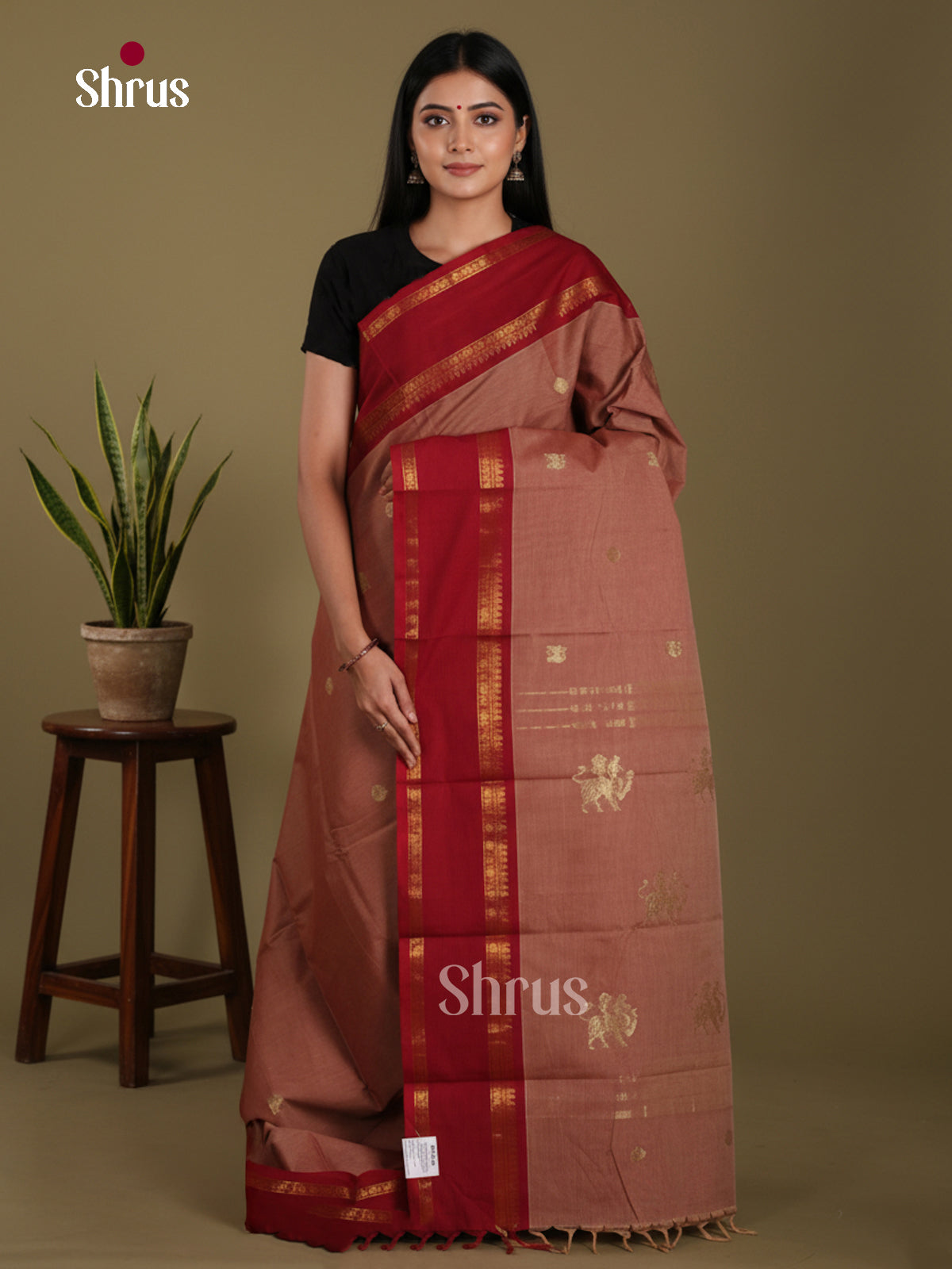 DKS25142 - Kanchi Cotton Saree