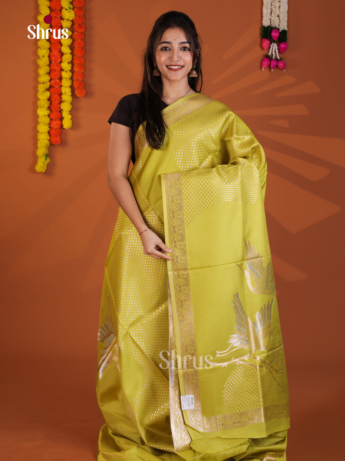 DKS27018 - Semi Tussar Saree