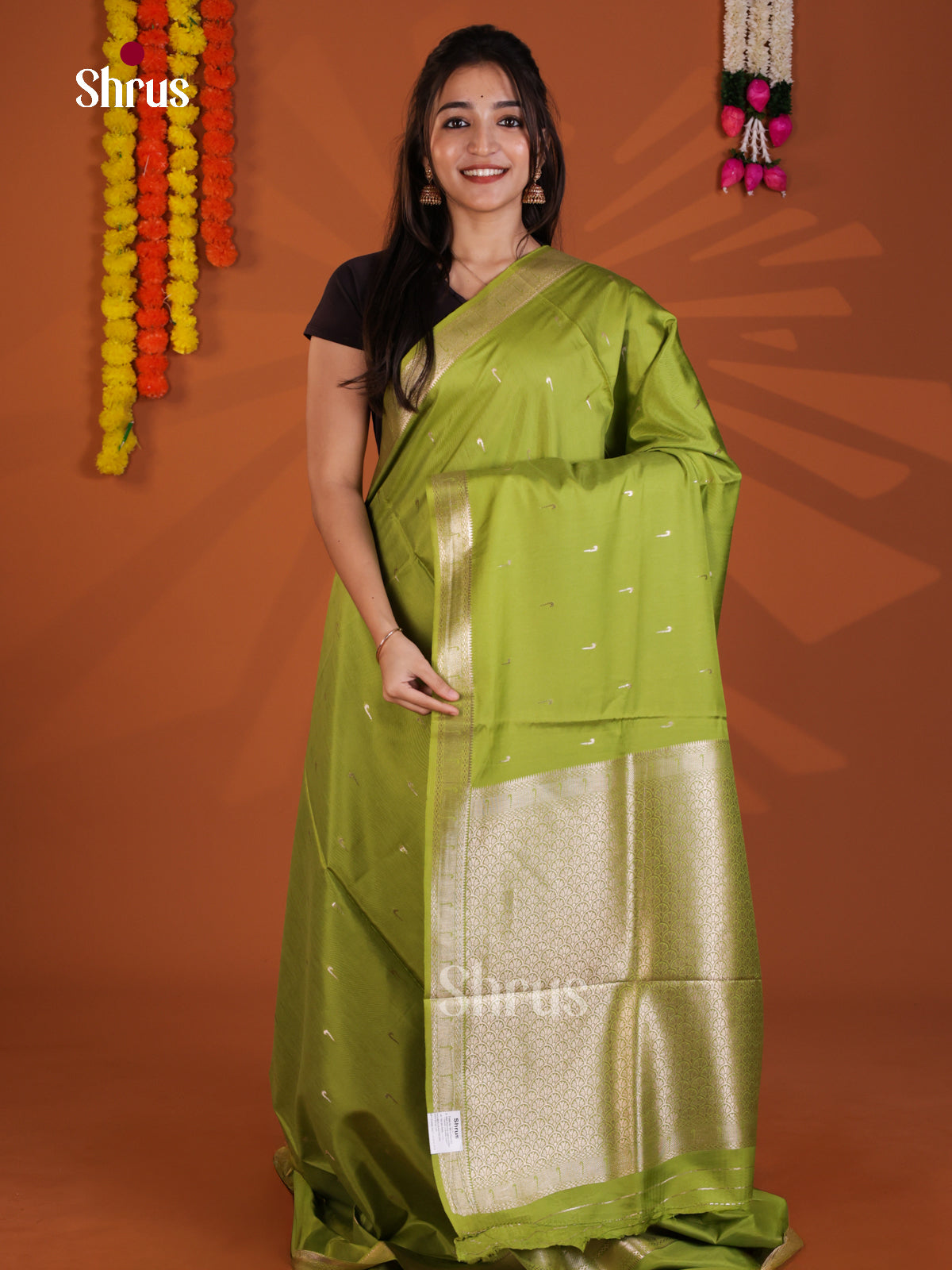 DKS27060 - Semi Chiniya Saree