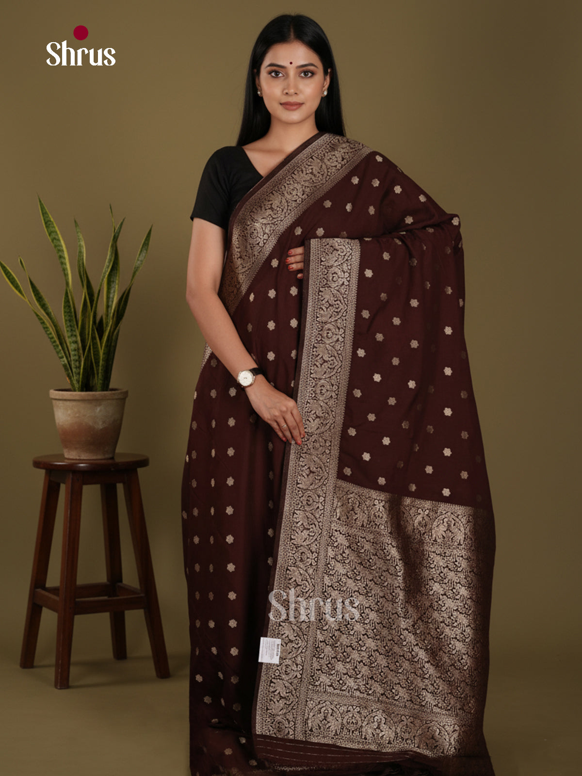 DKS29178 - Semi Georgette Saree