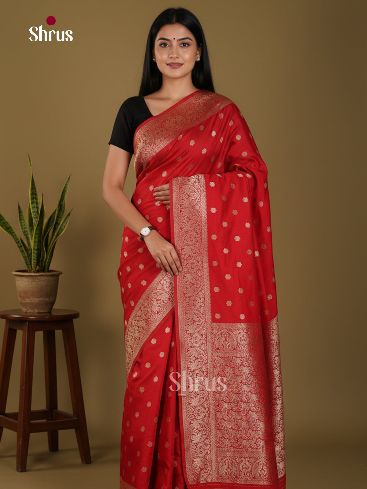 DKS29183 - Semi Georgette Saree