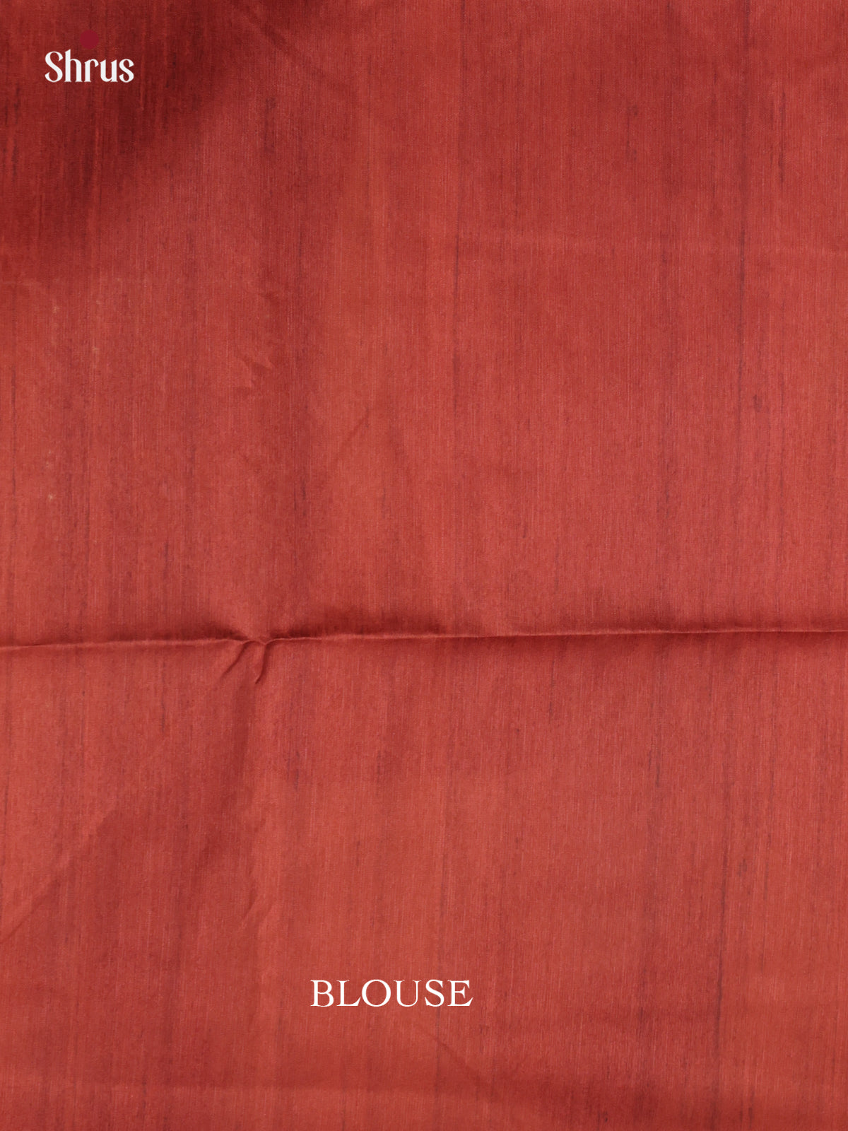 Brick & Cream- Printed Madhubani Saree - Shop on Shrus.com
